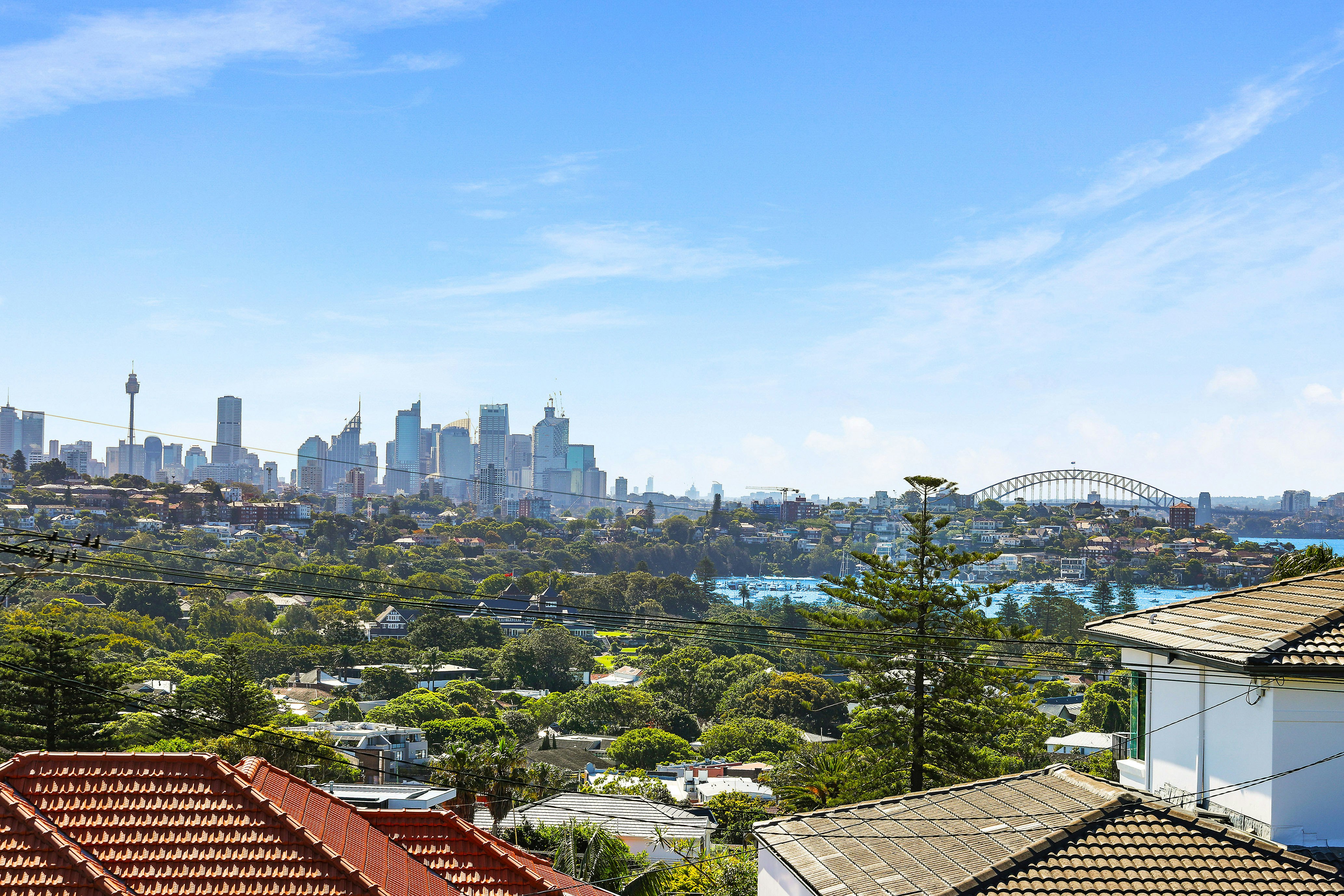 87 Hardy Street, Dover Heights NSW