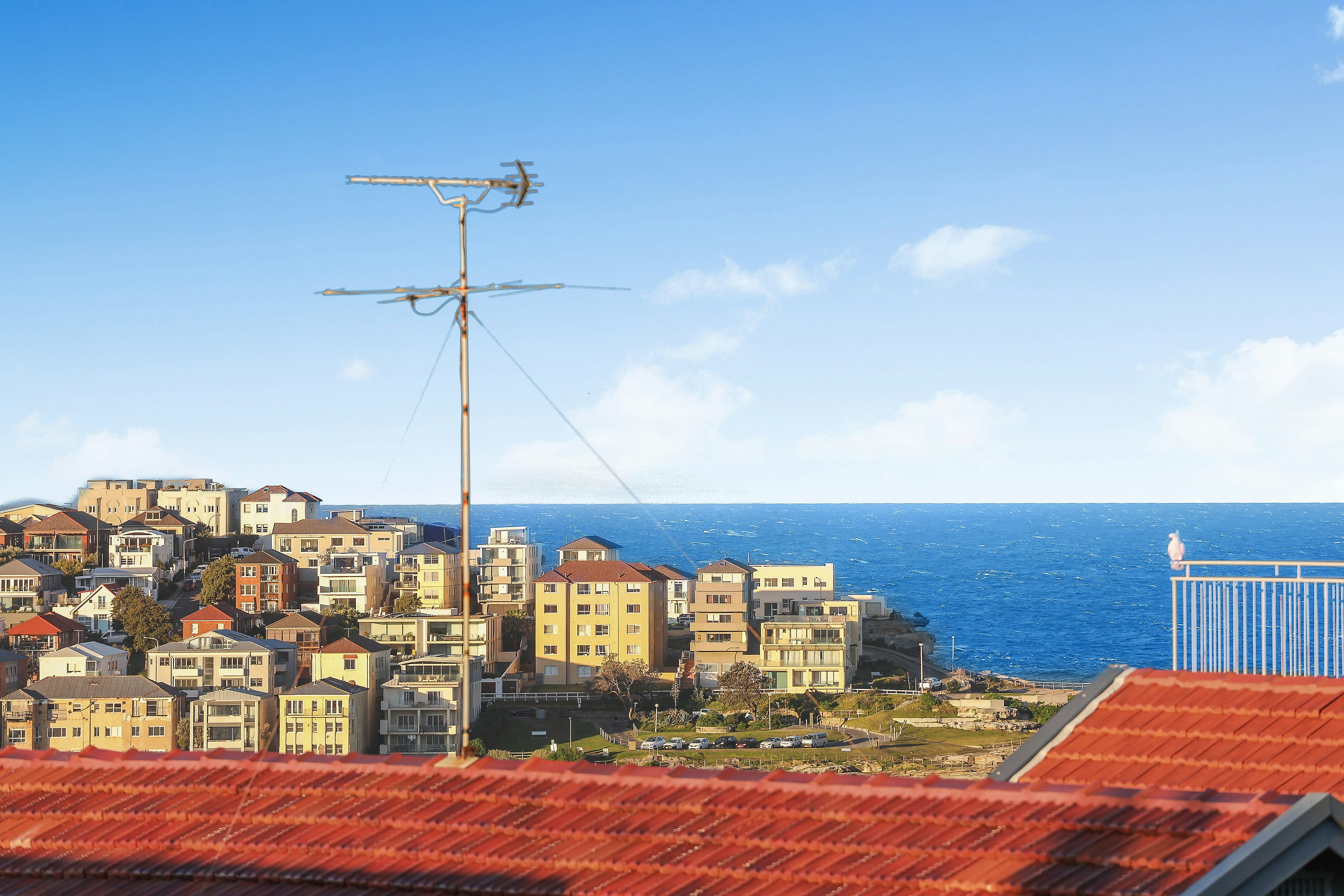 Image of neighborhood