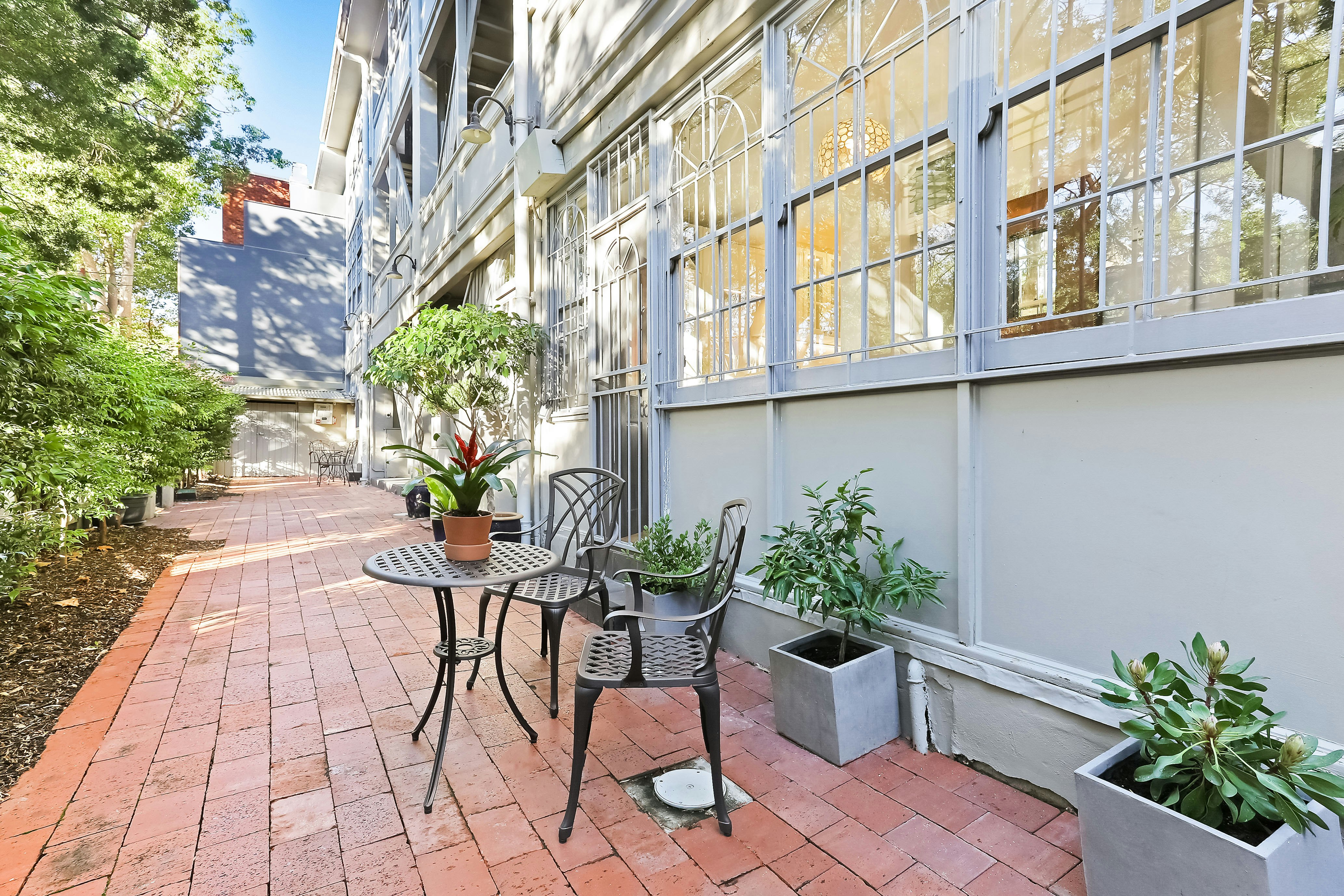 Image of path