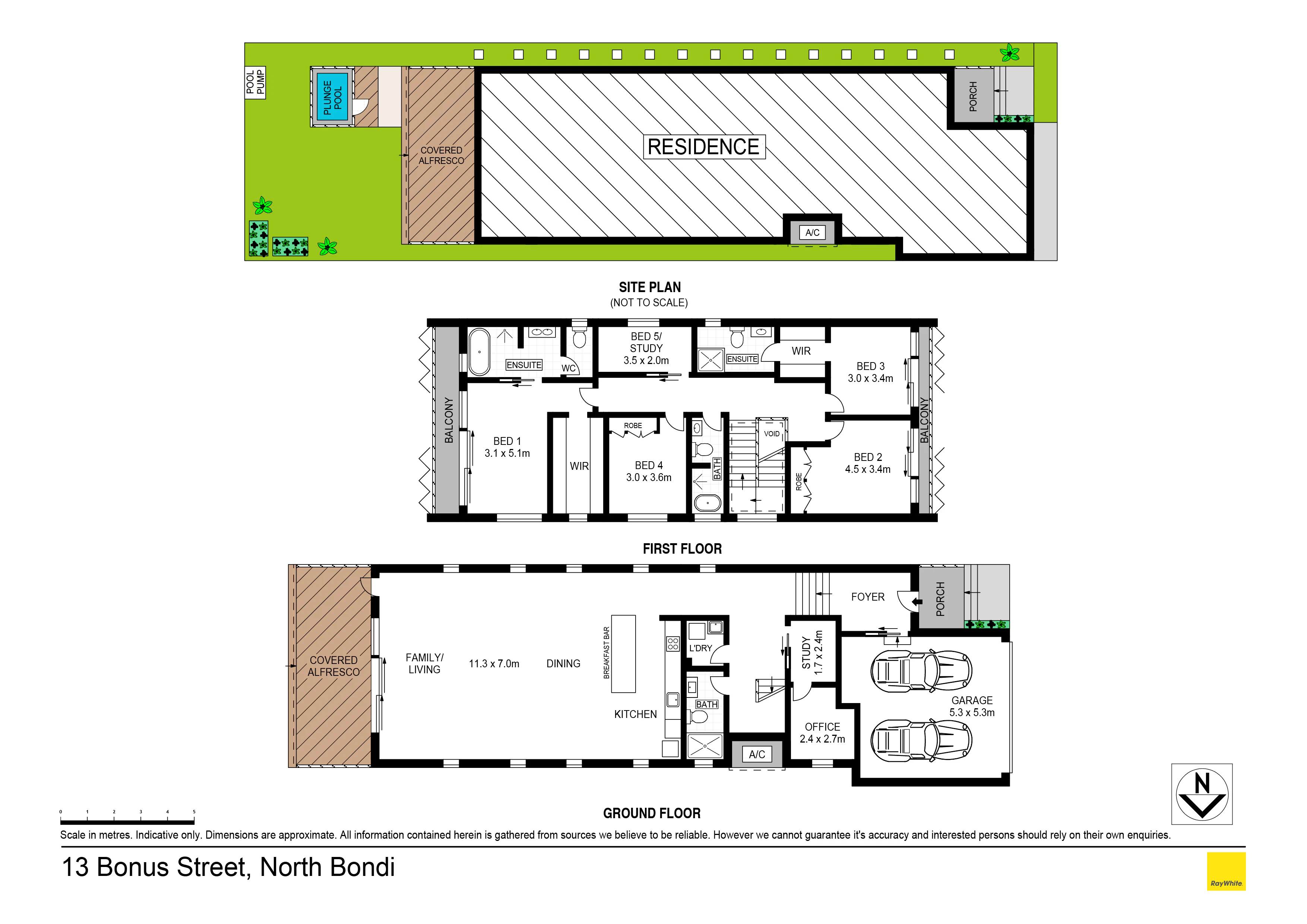 13 Bonus Street, North Bondi NSW