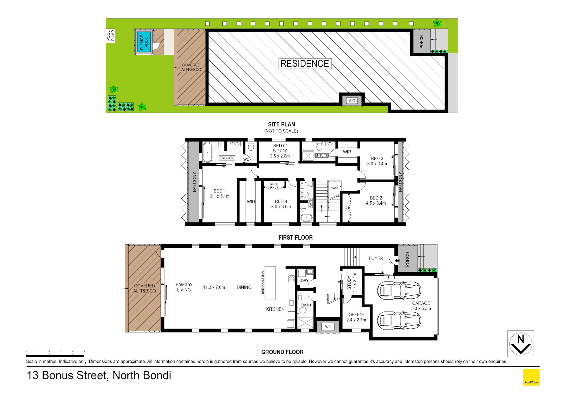 13 Bonus Street, North Bondi NSW