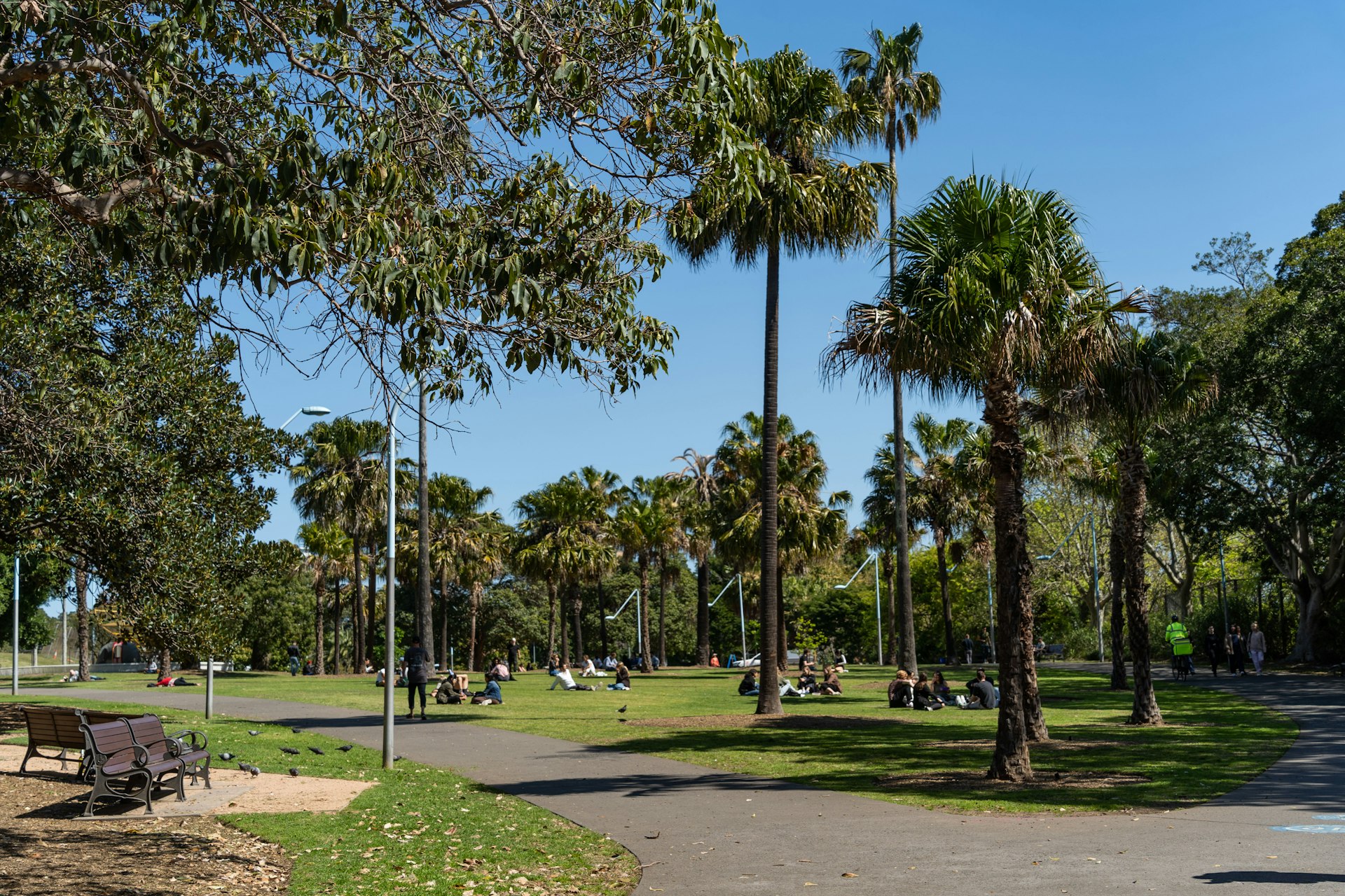 52/30-34 Chalmers Street, Surry Hills NSW