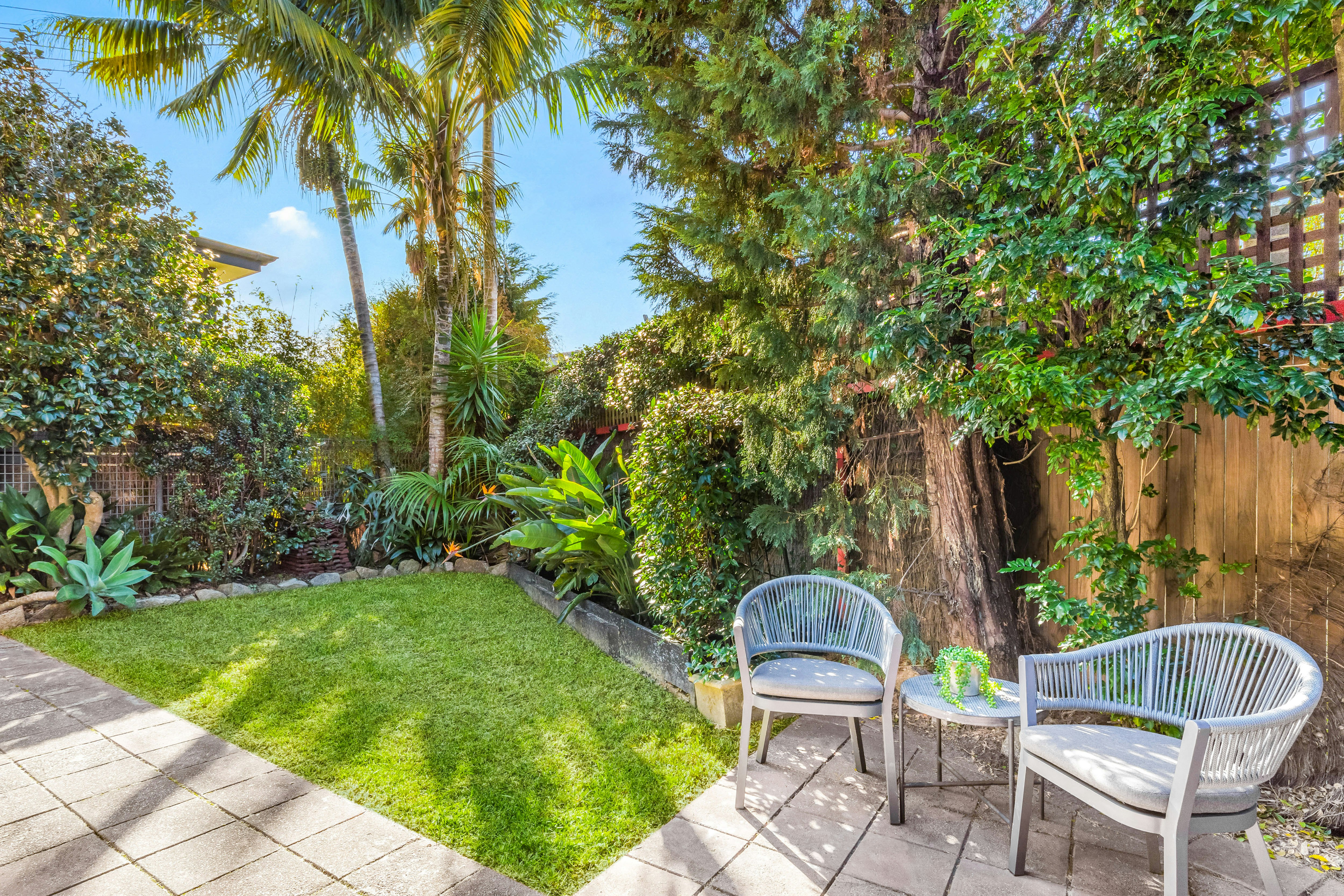 Image of backyard