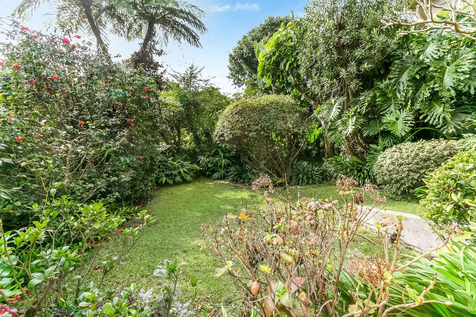 Image of garden