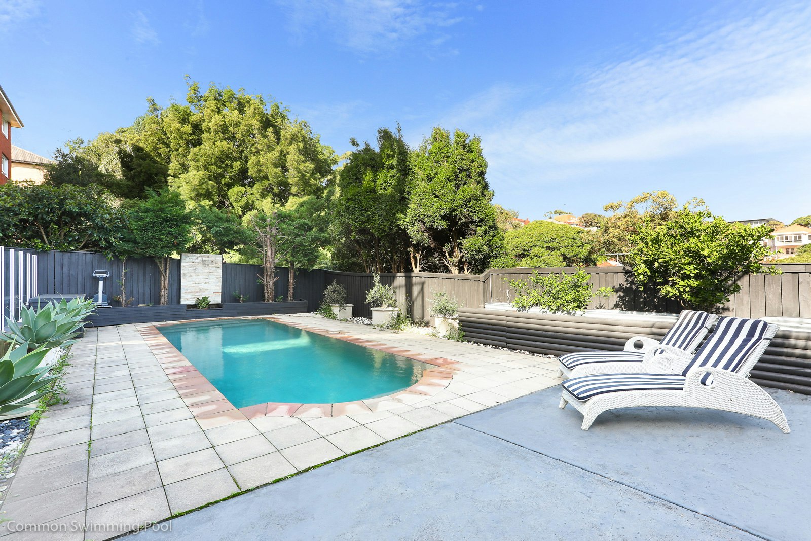 Image of backyard