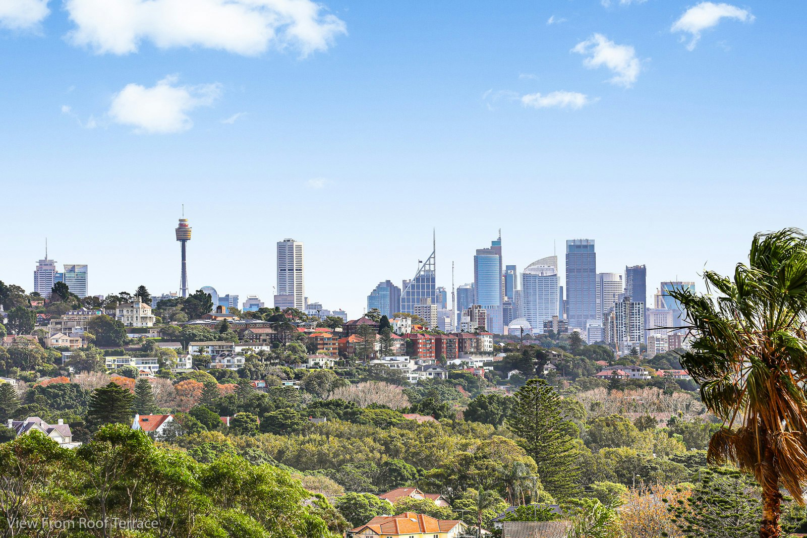 Image of city