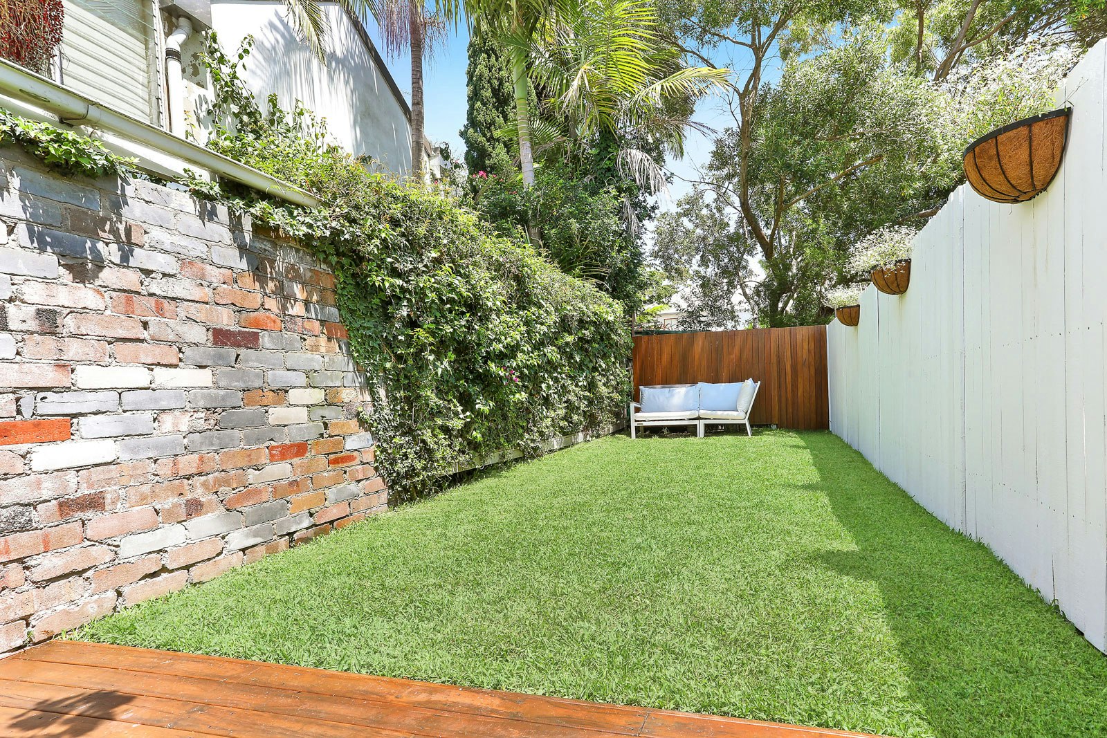Image of backyard