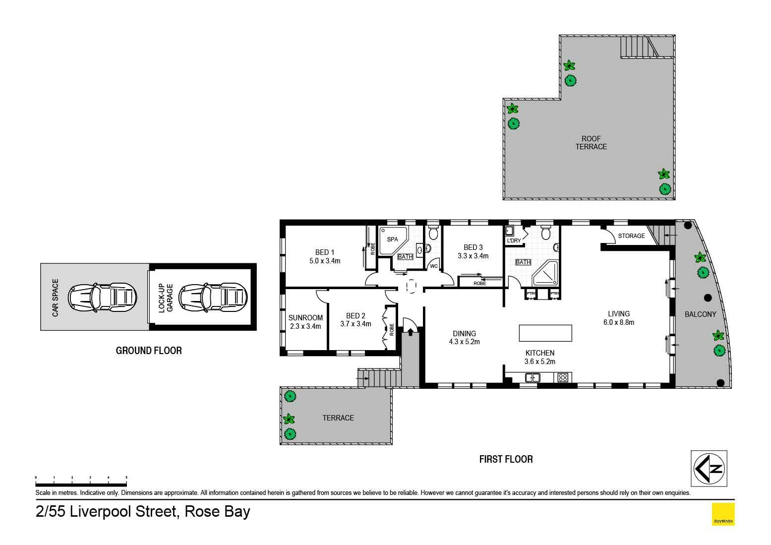 2/55 Liverpool Street, Rose Bay NSW