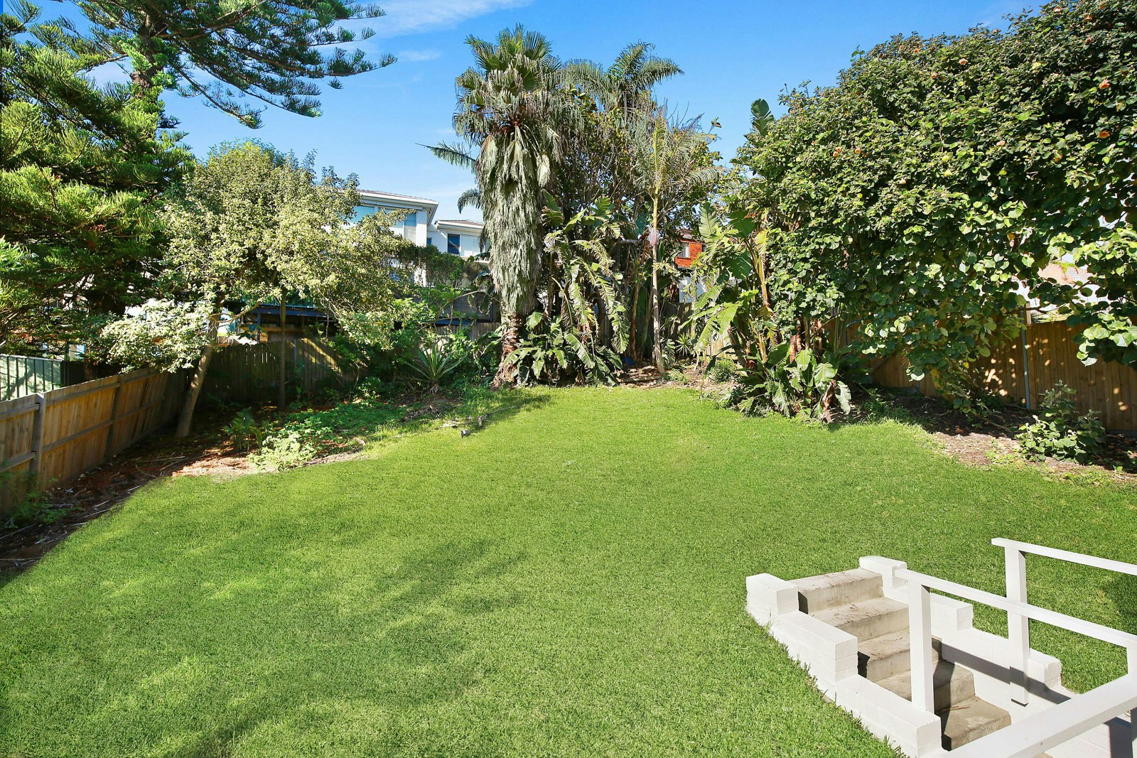 Image of backyard