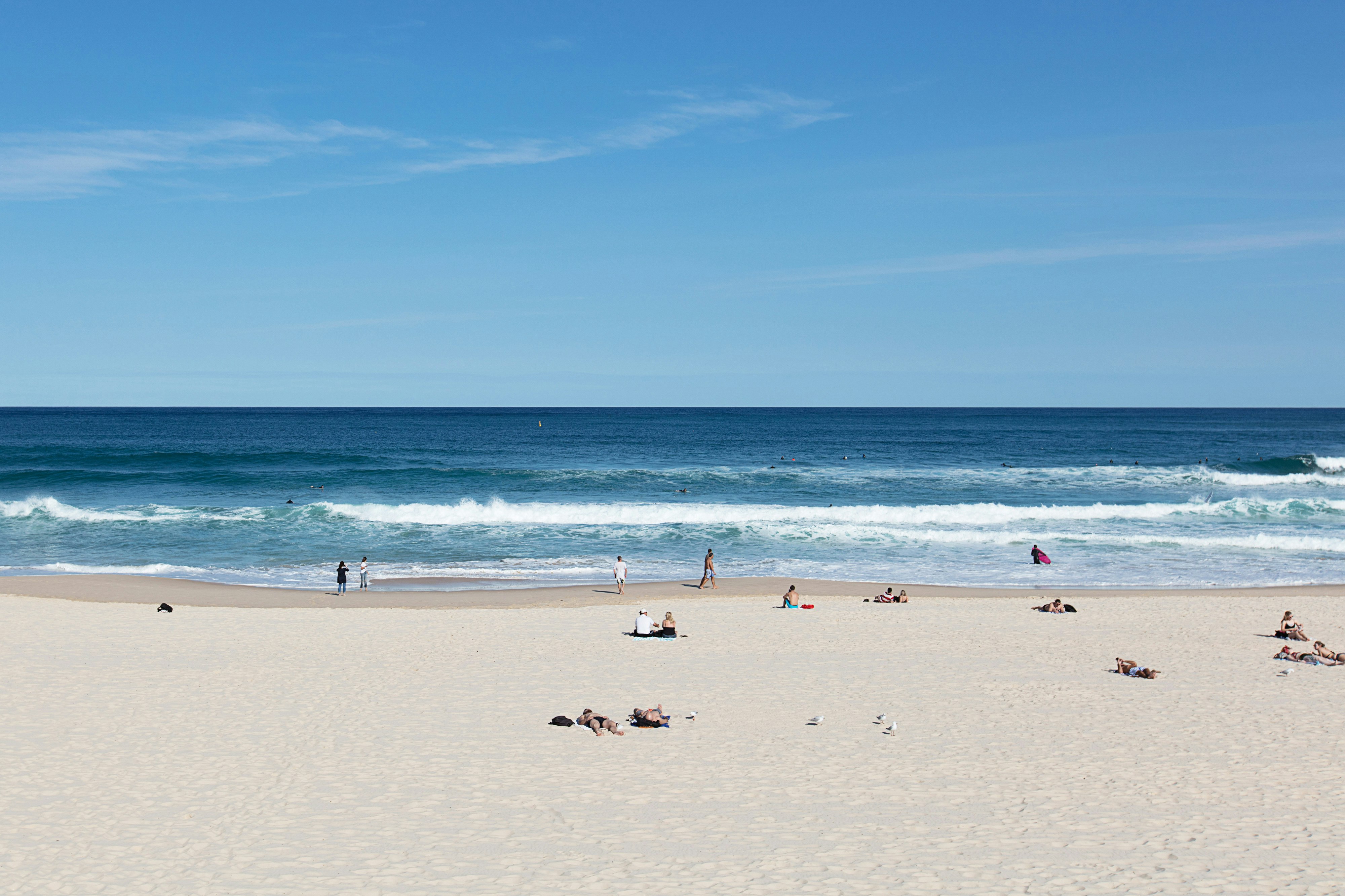 Image of summer