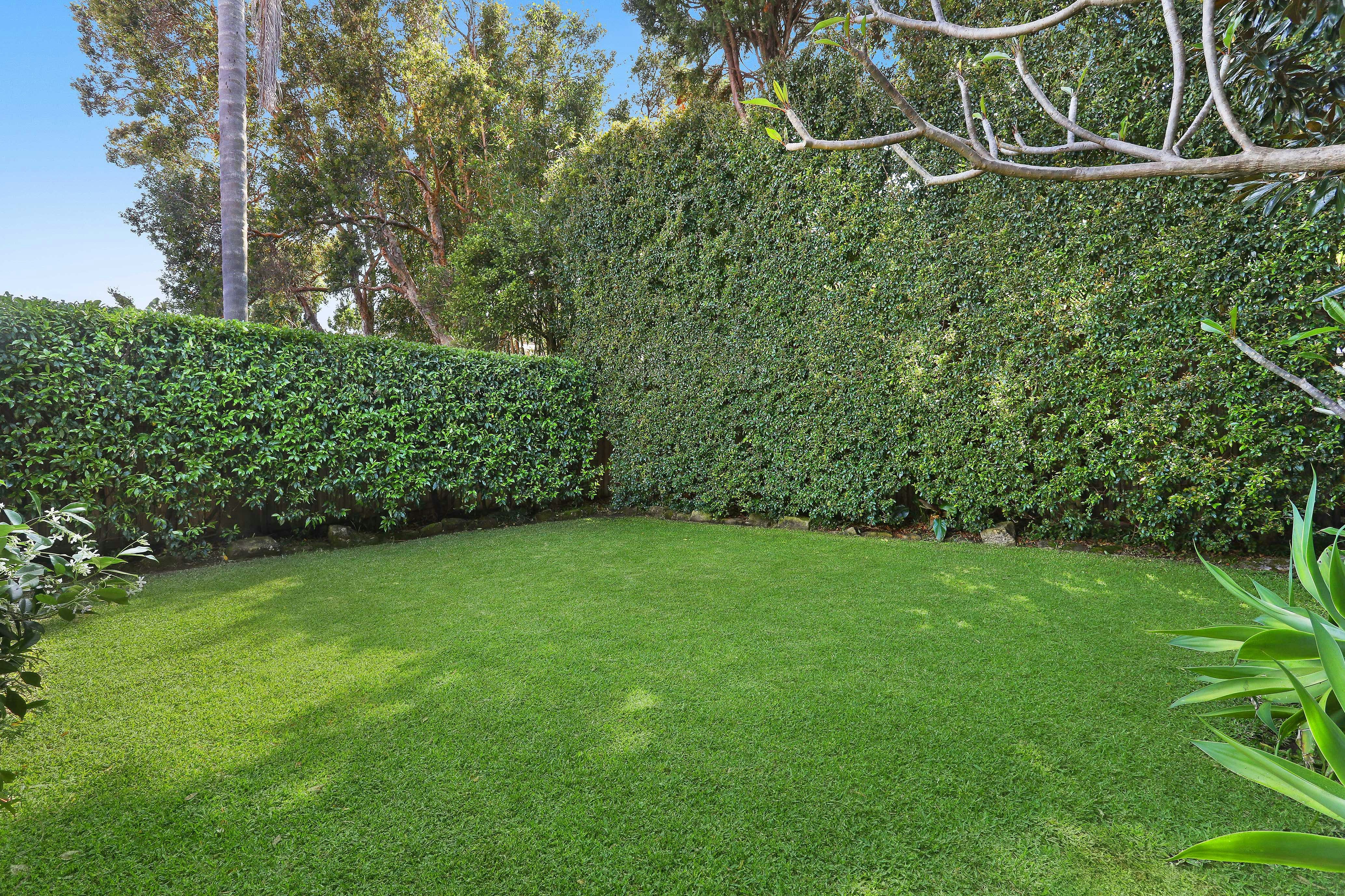Image of grass