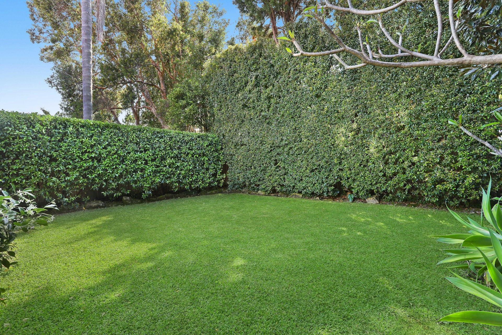 grass
