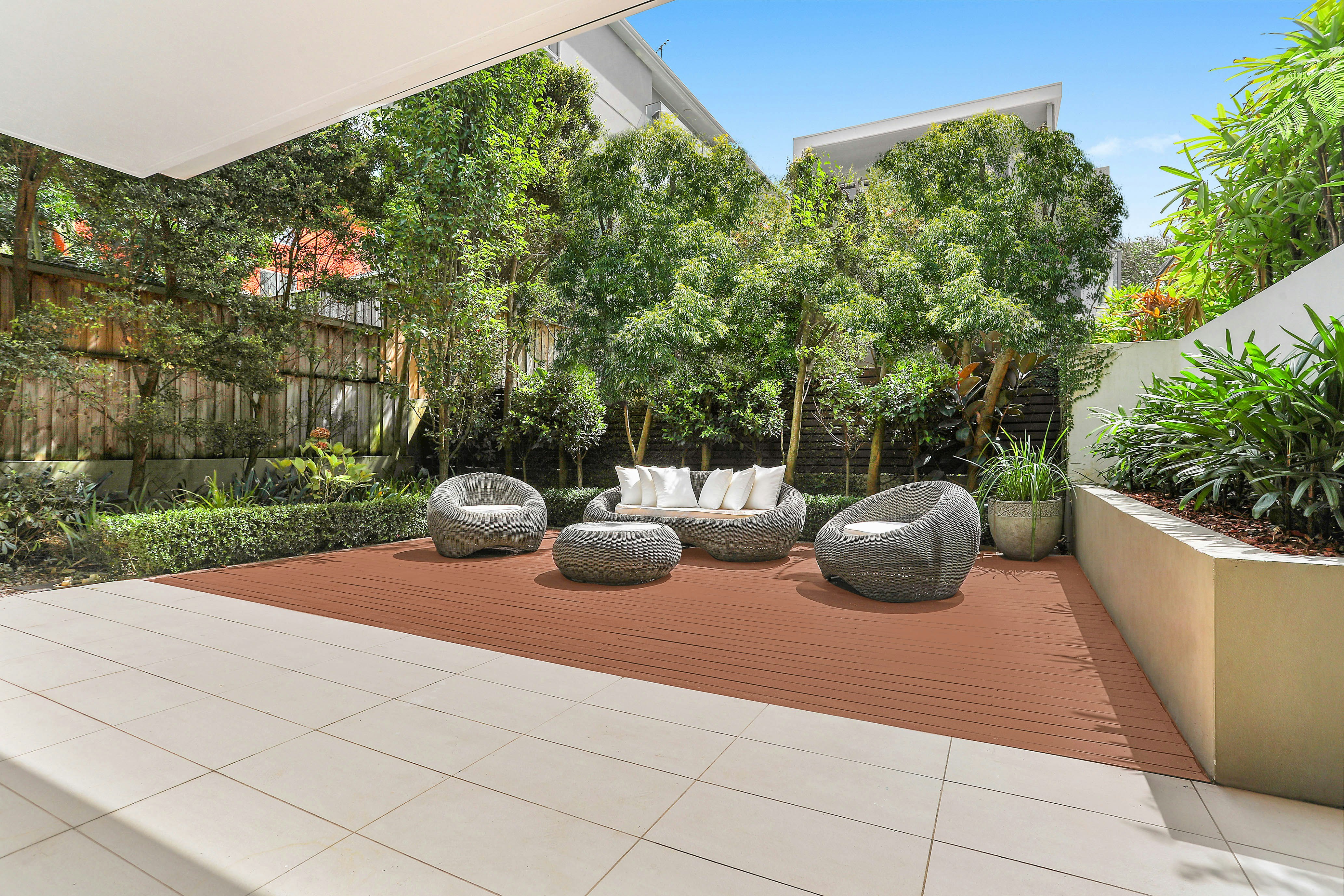 Image of backyard