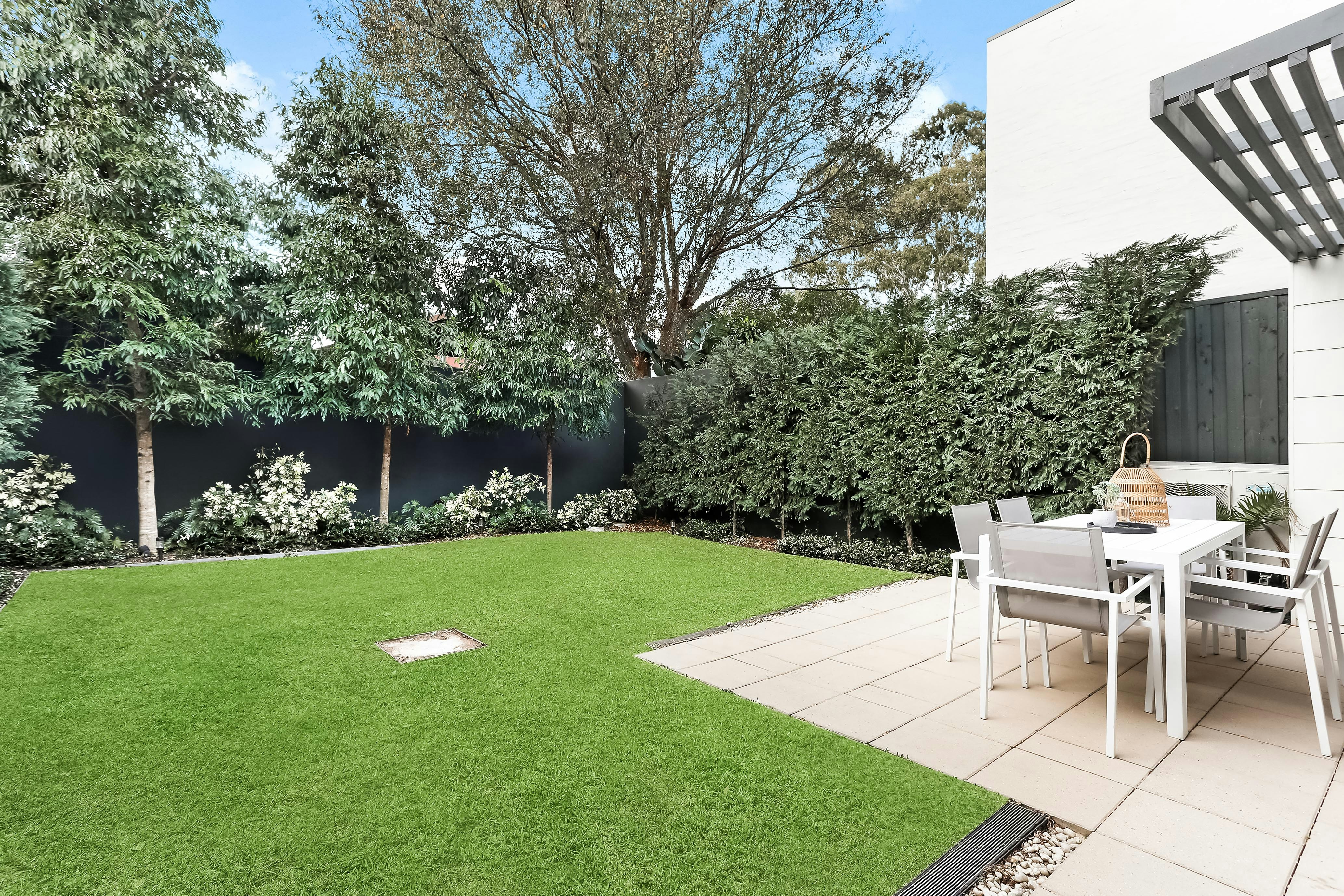 Image of backyard