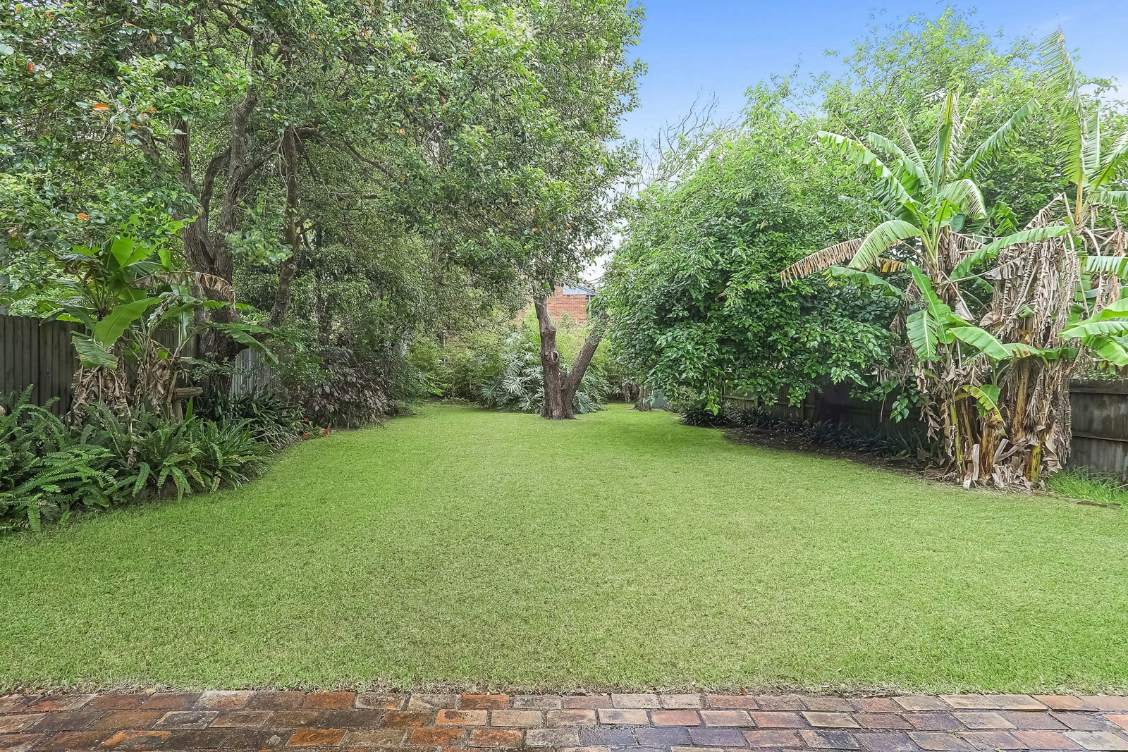 Image of backyard