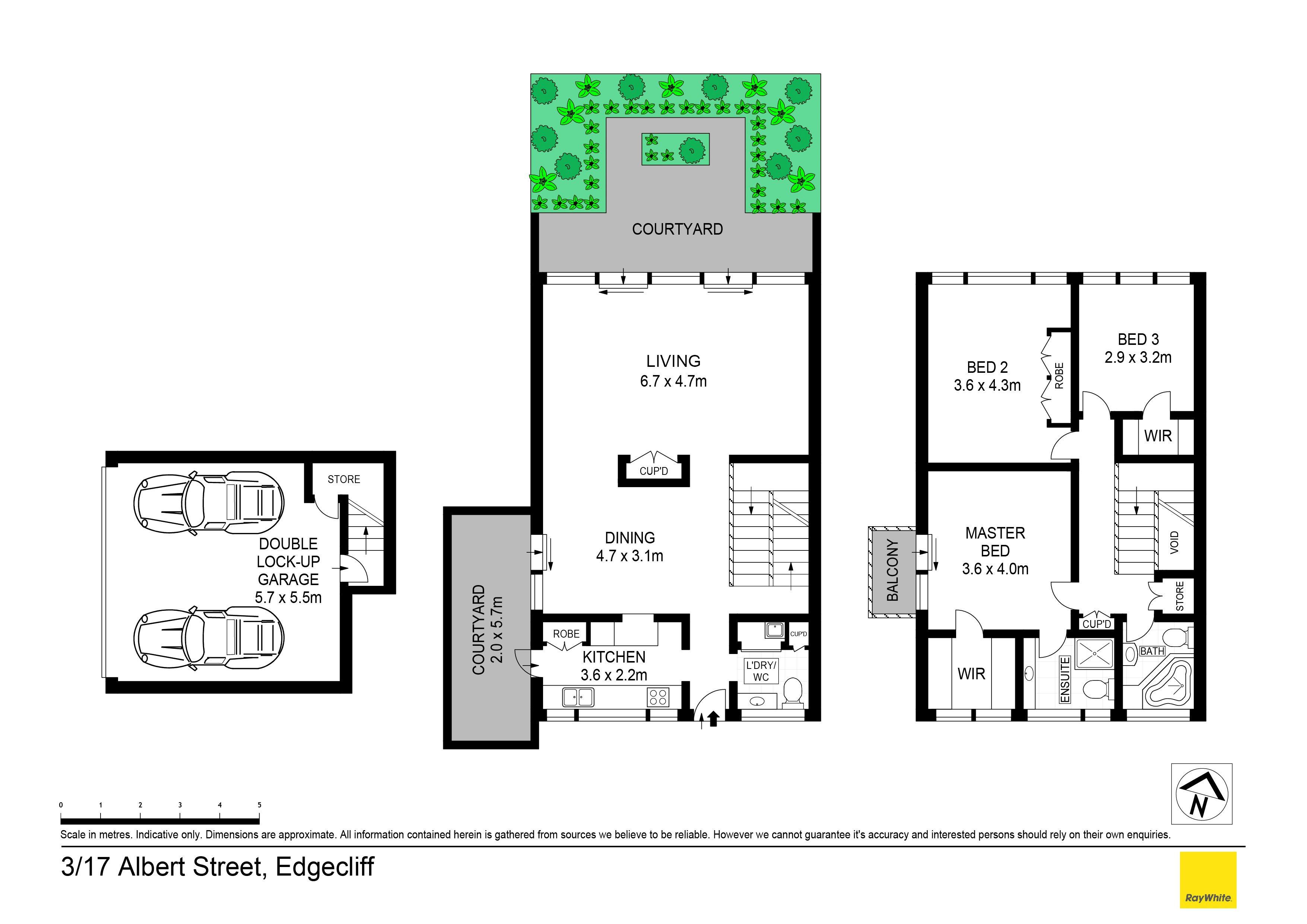3/17 Albert Street, Edgecliff NSW