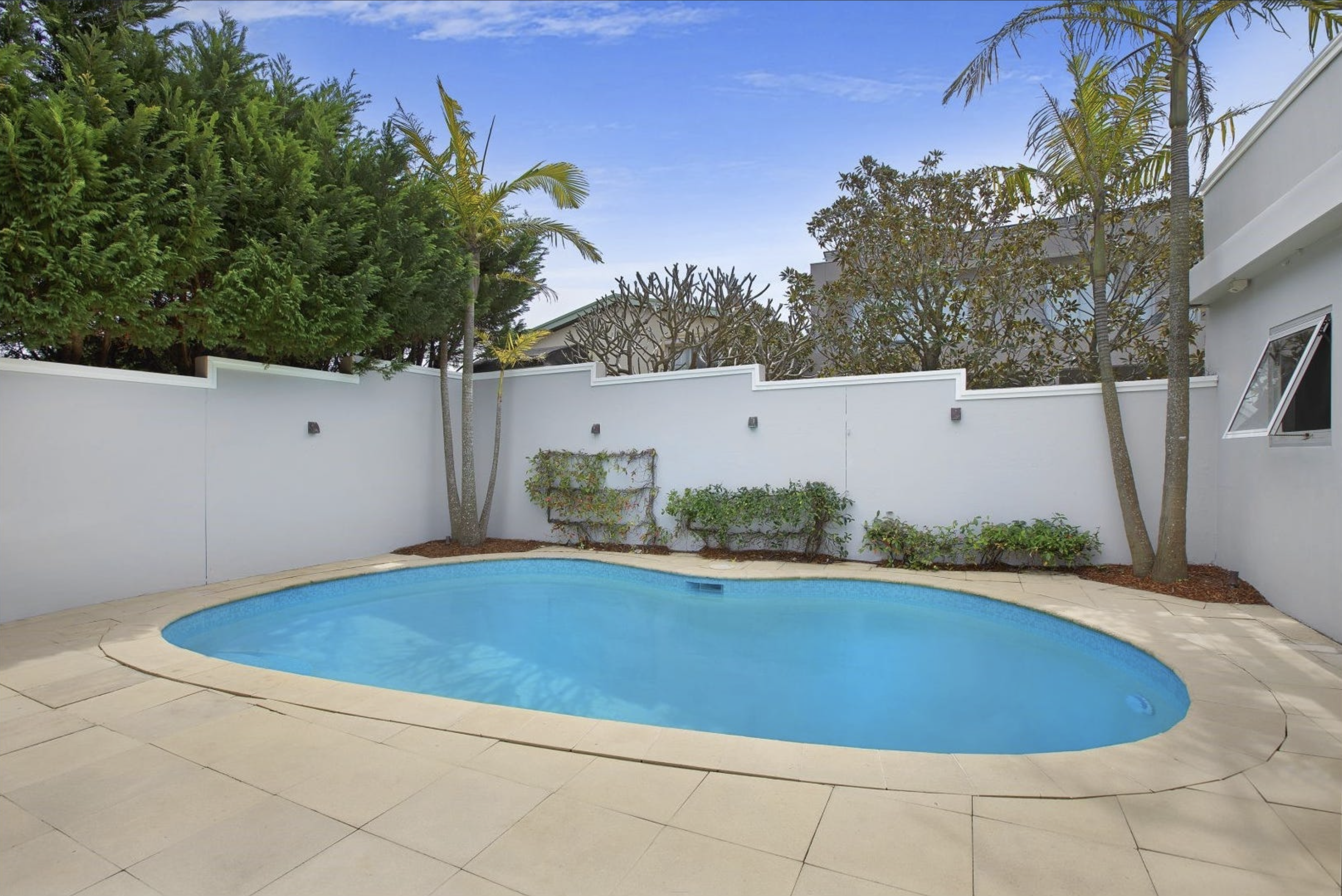 Image of backyard