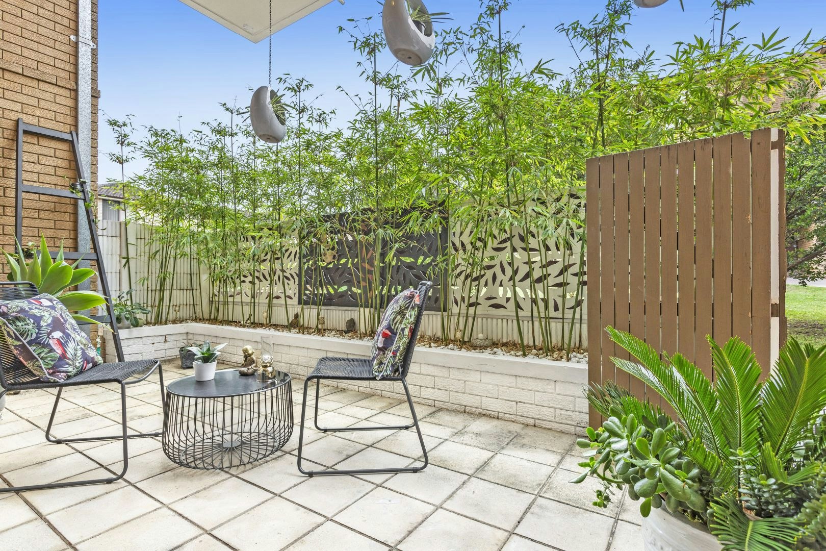 Image of backyard