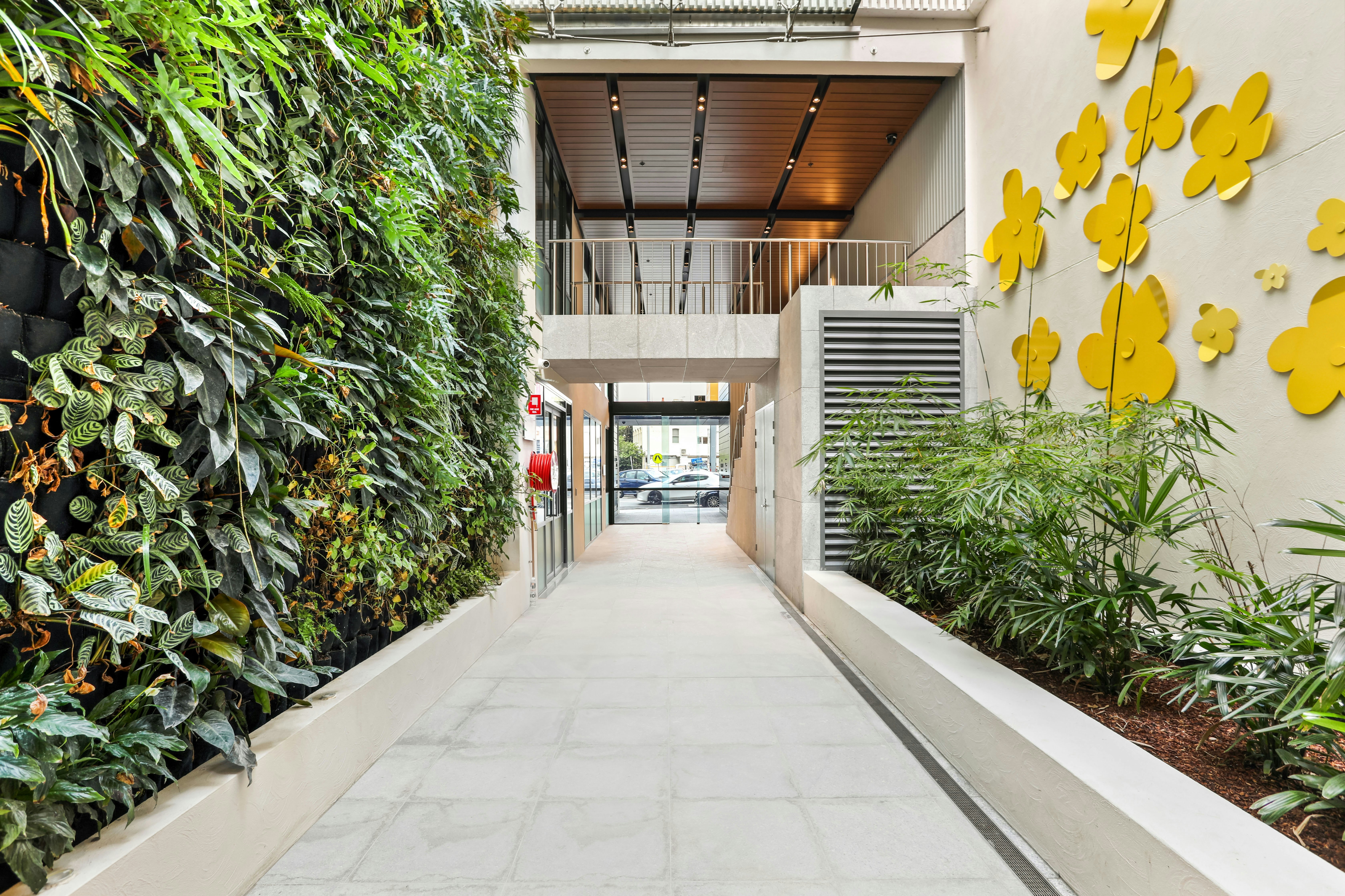 Image of garden