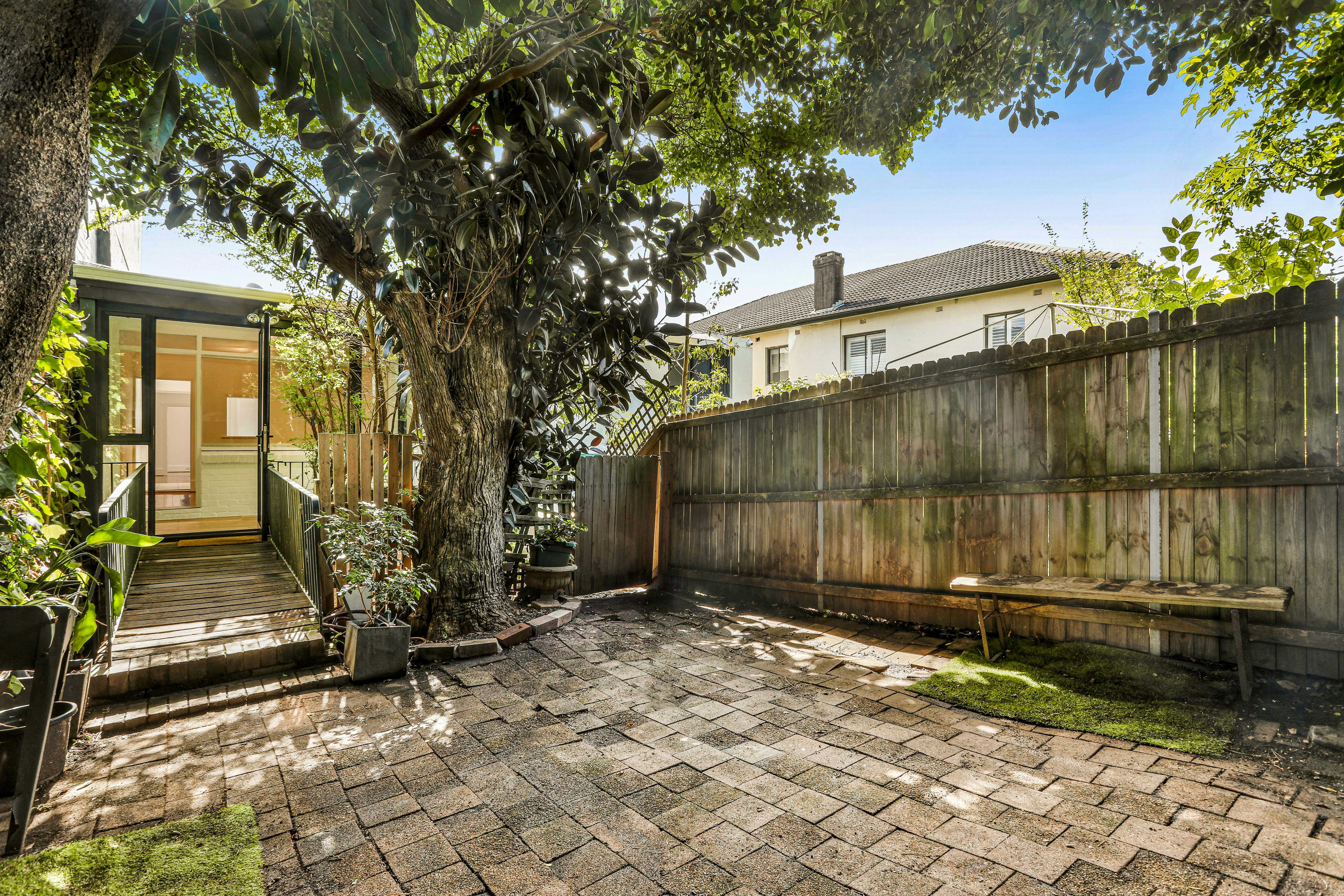 Image of backyard