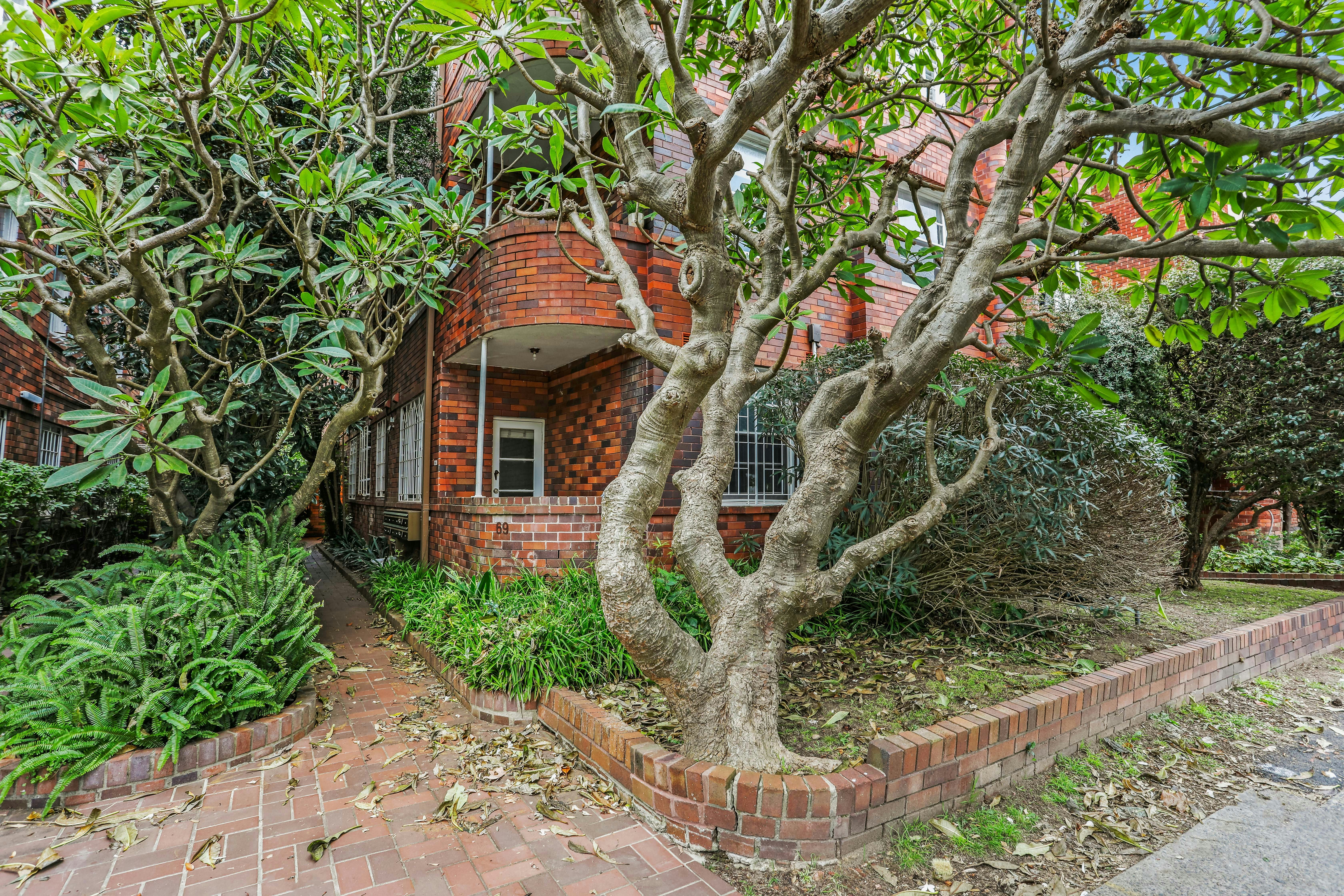 Image of garden