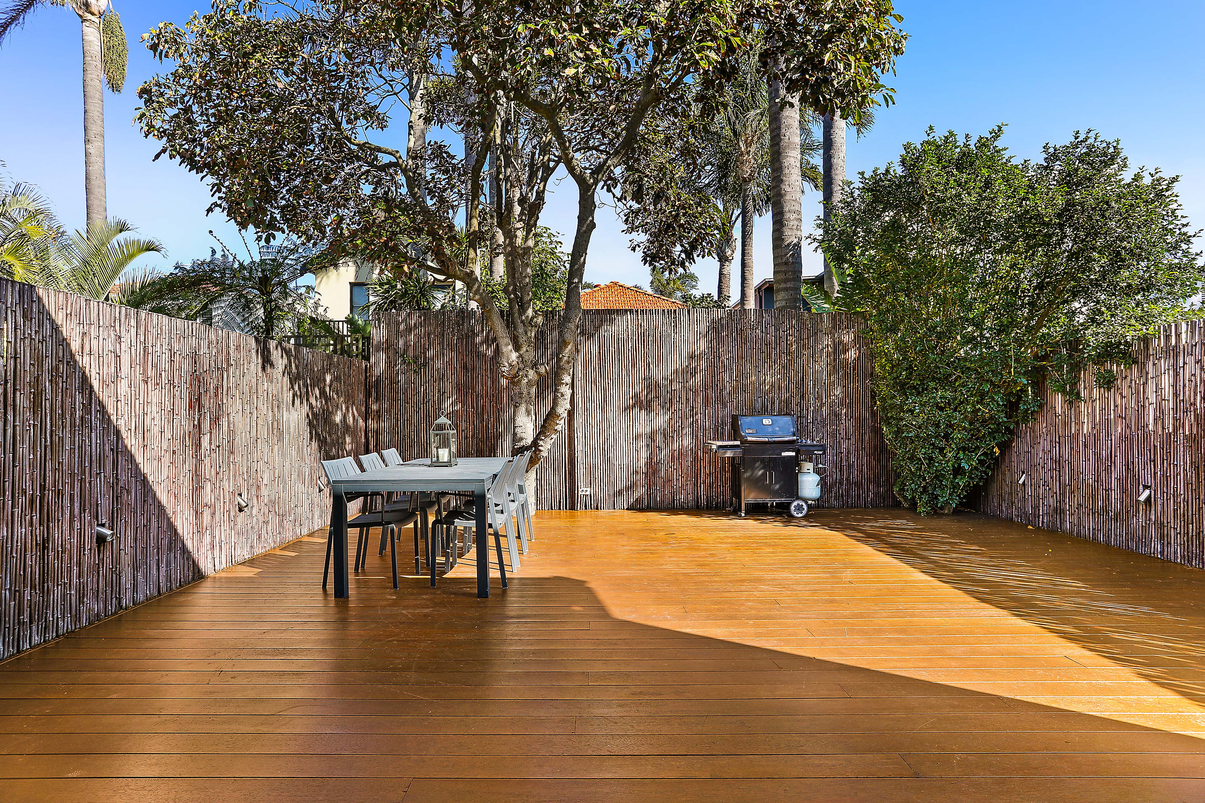 50 George Street, Dover Heights - Thumbnail 2