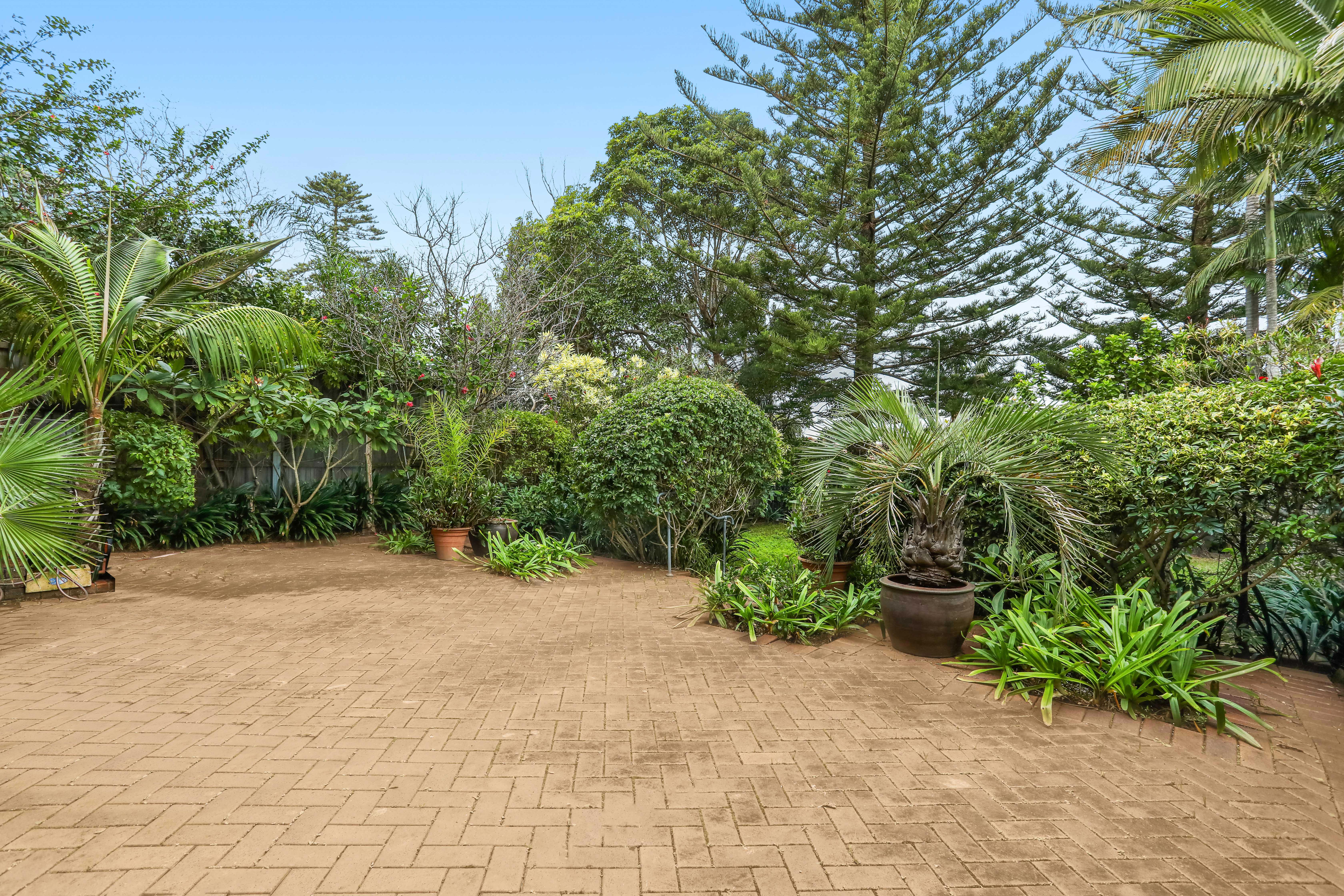7 Macleay Street, North Bondi - Thumbnail 7