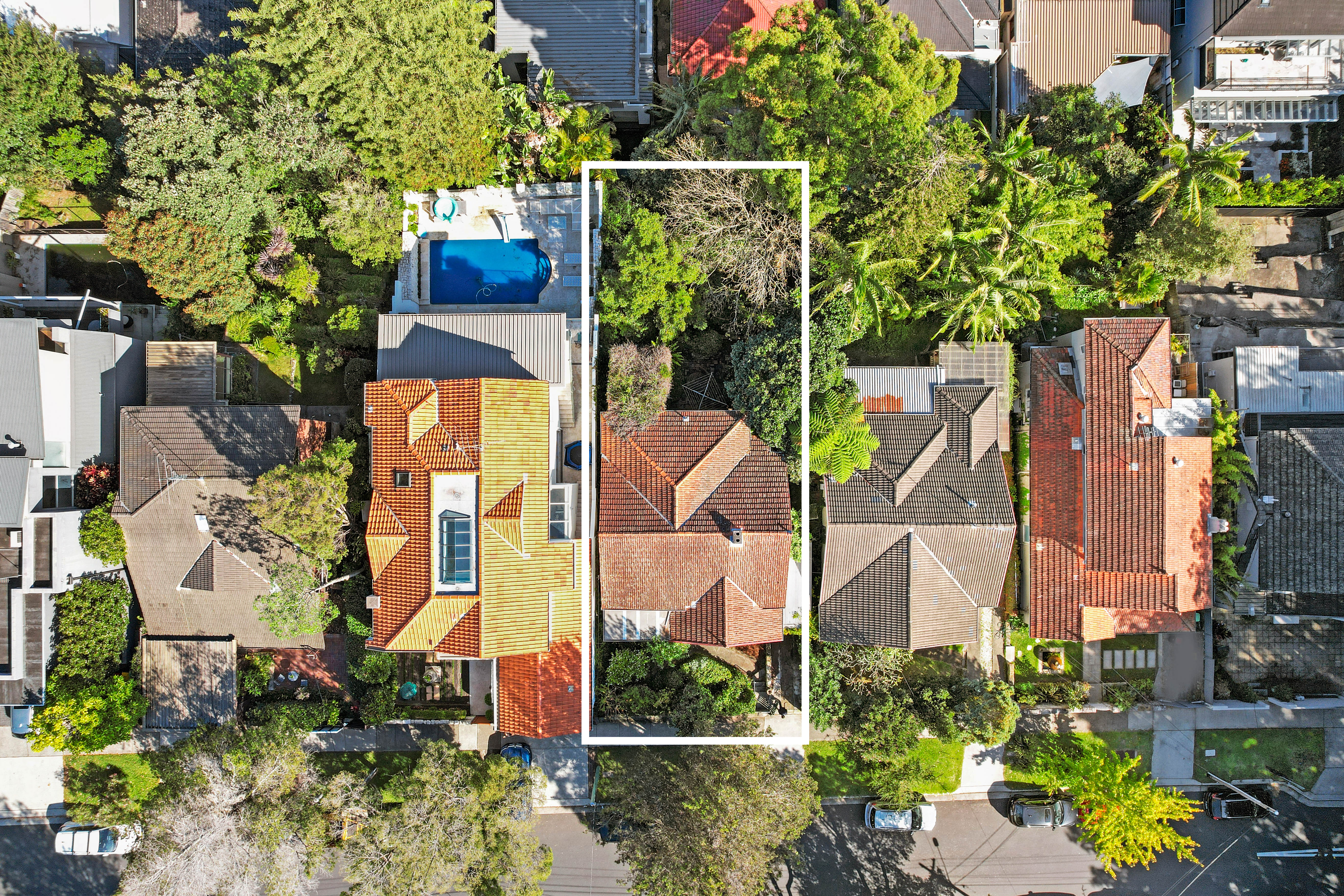 25 Carlotta Road, Double Bay - Thumbnail 5