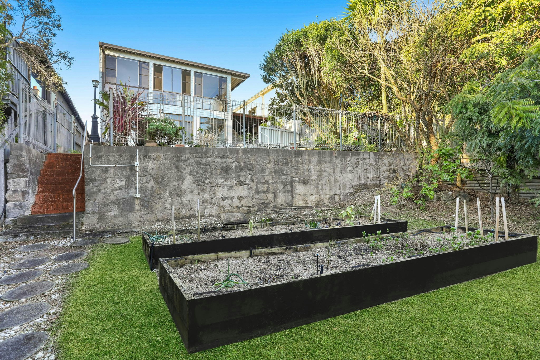 Image of backyard