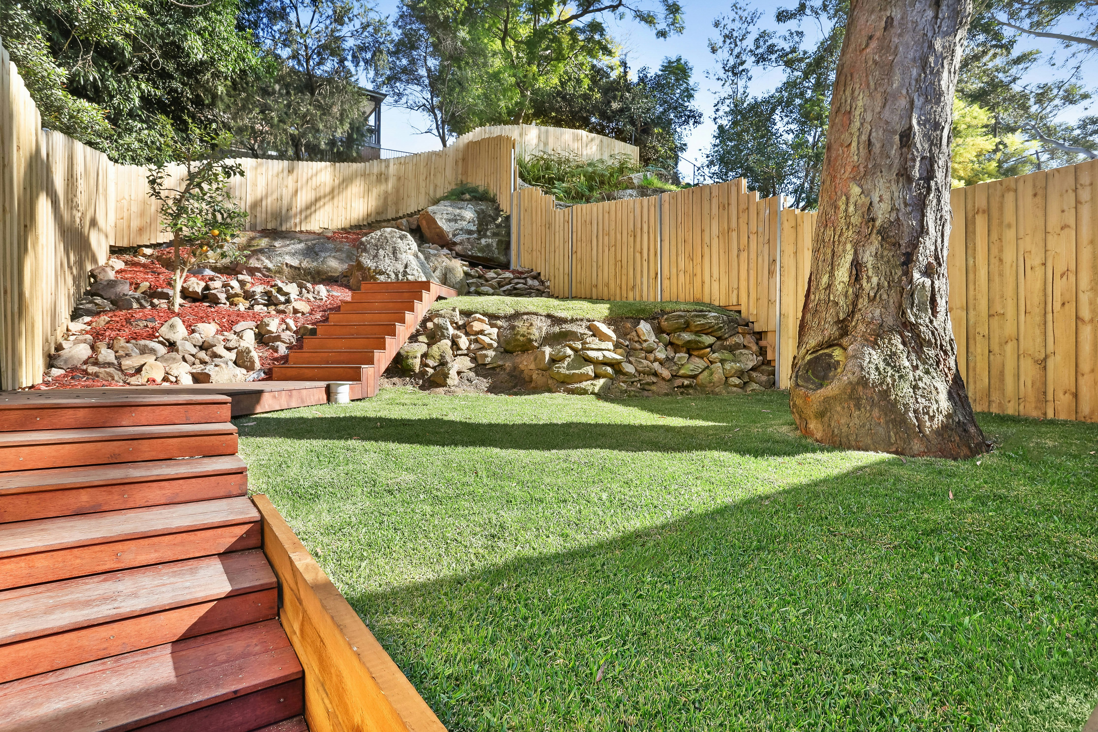 Image of backyard