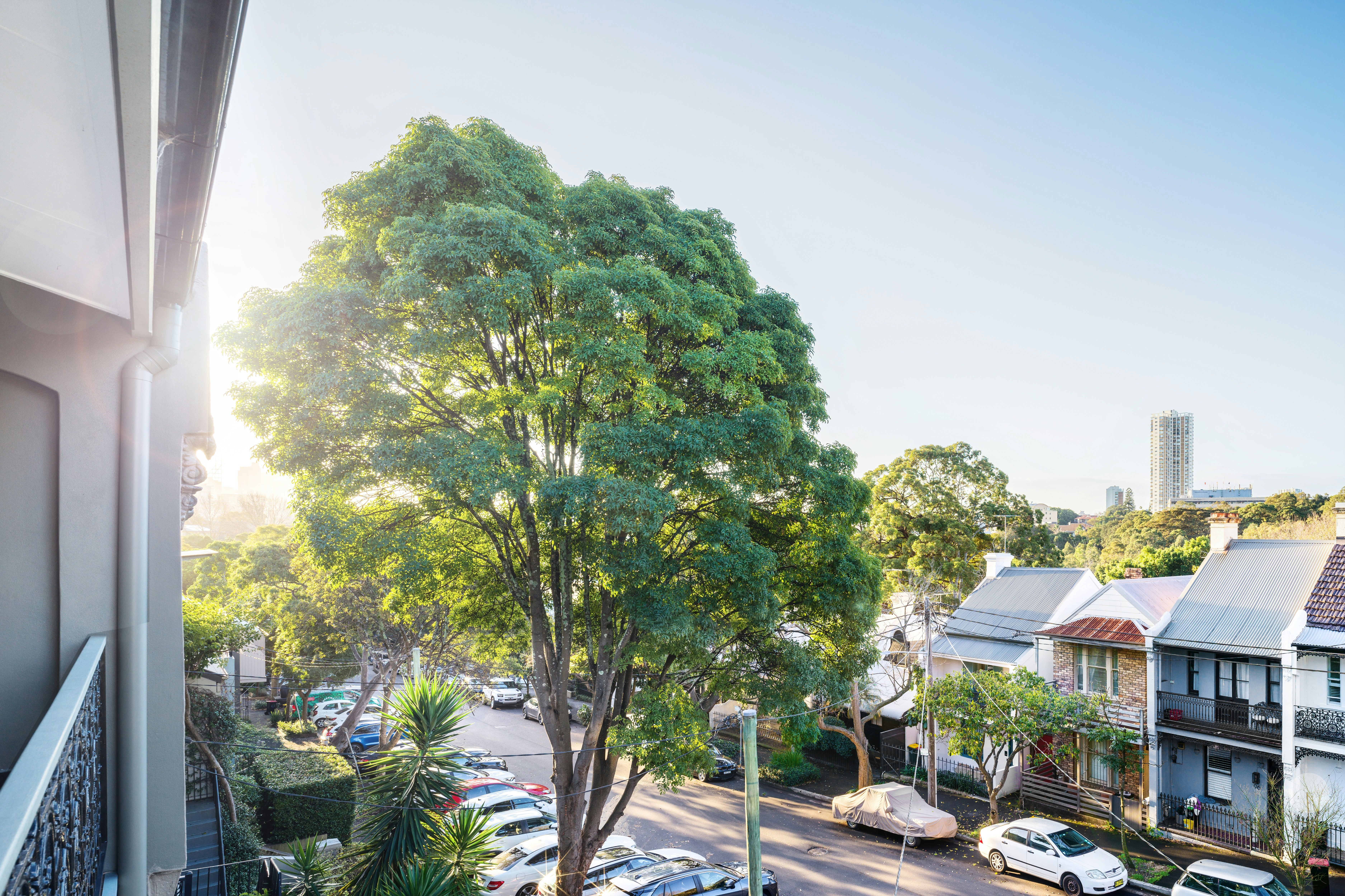 95 Sutherland Street, Paddington NSW