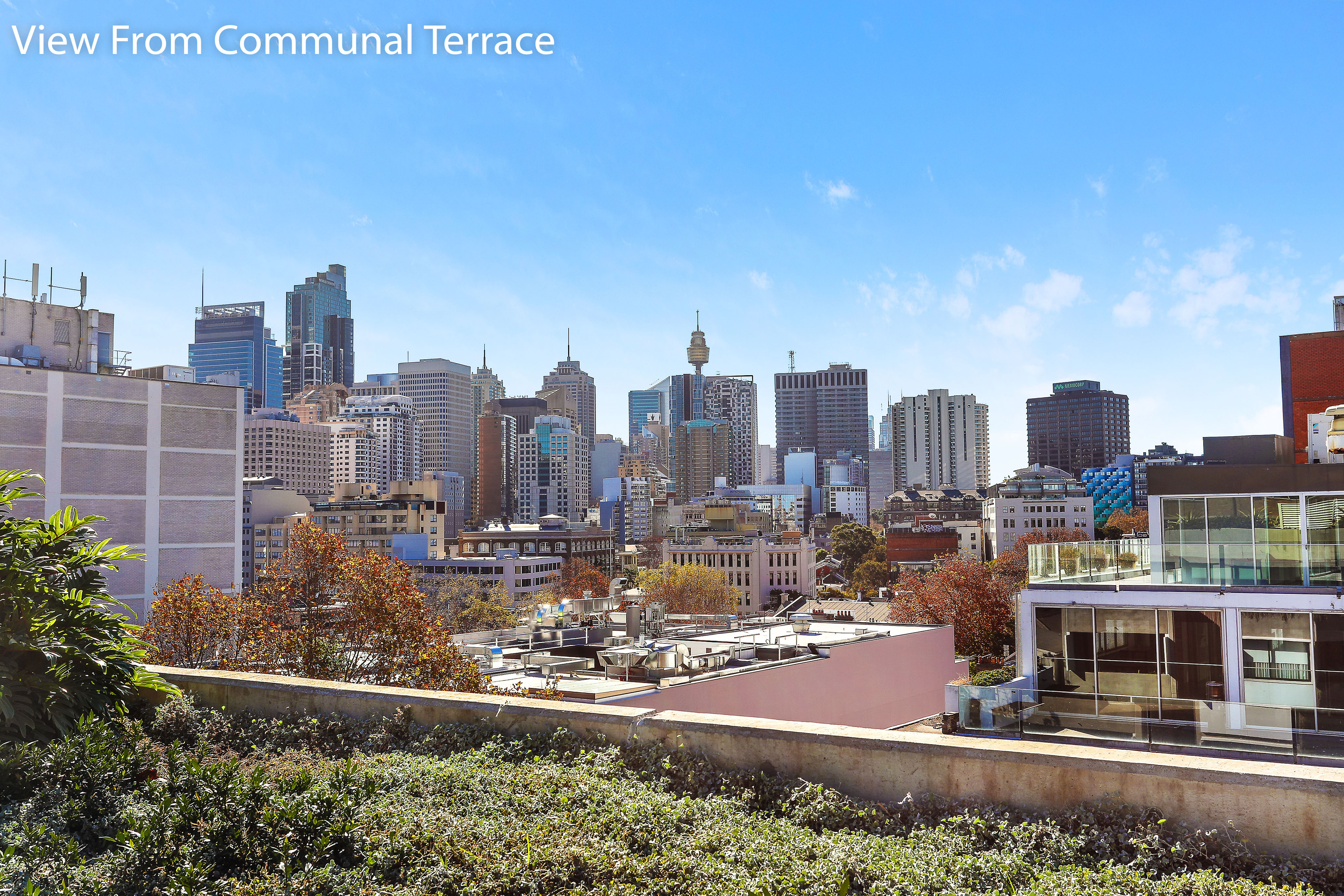 111/69-81 Foveaux Street, Surry Hills - Thumbnail 8