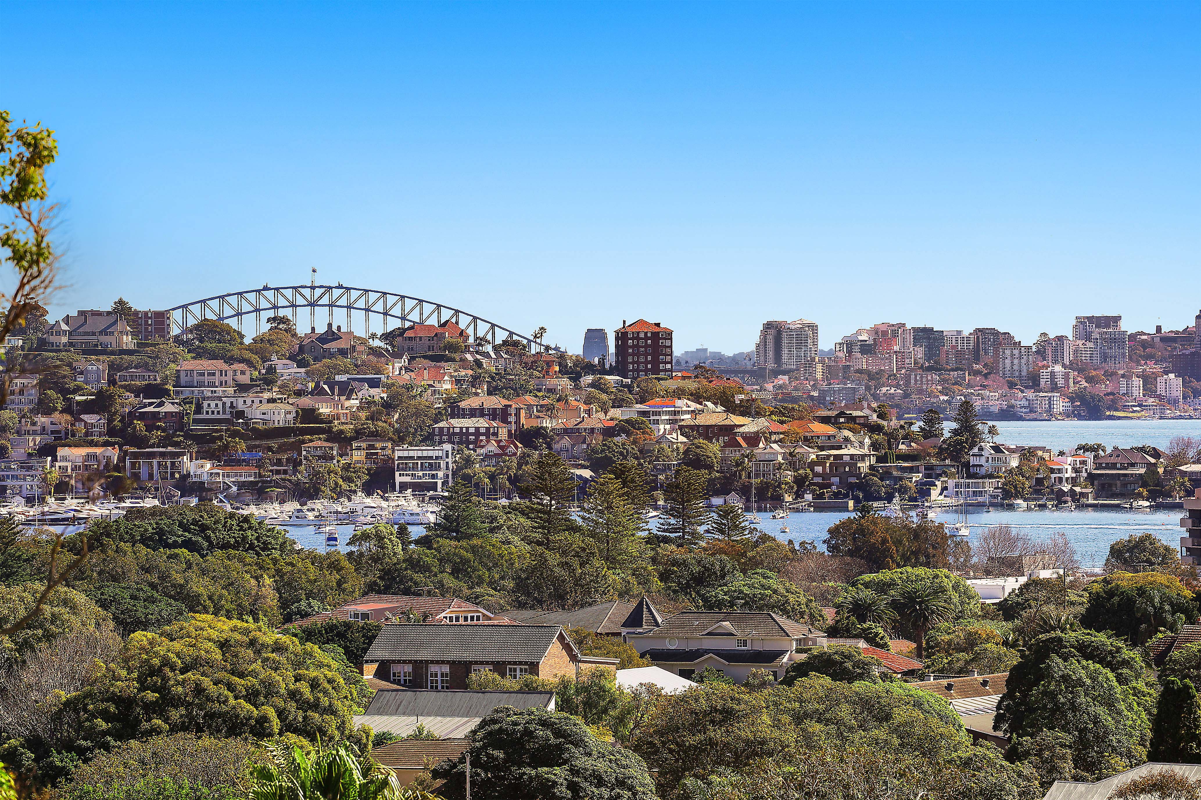 57 Beaumont Street, Rose Bay - Thumbnail 6