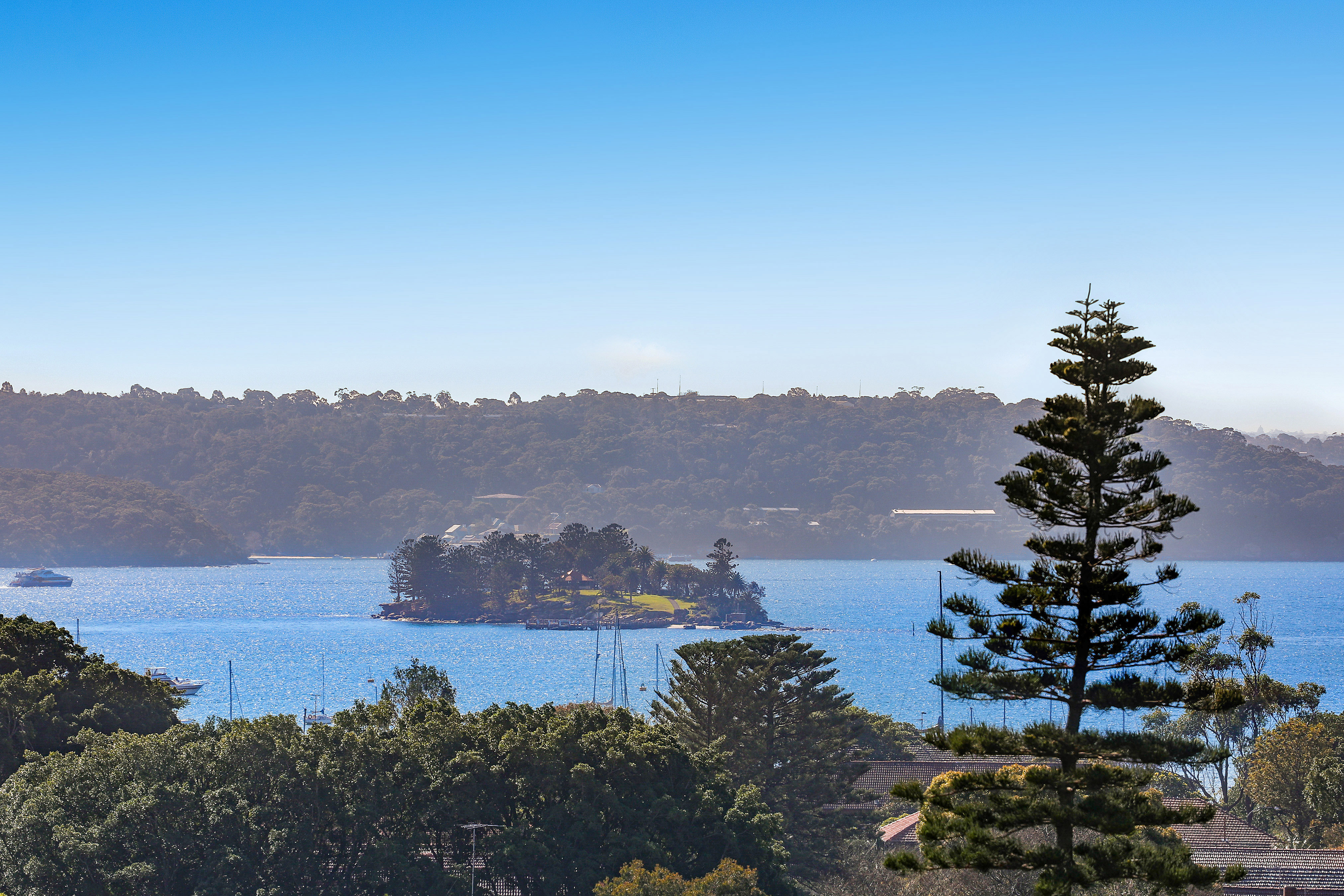 91 Balfour Road, Bellevue Hill - Thumbnail 6
