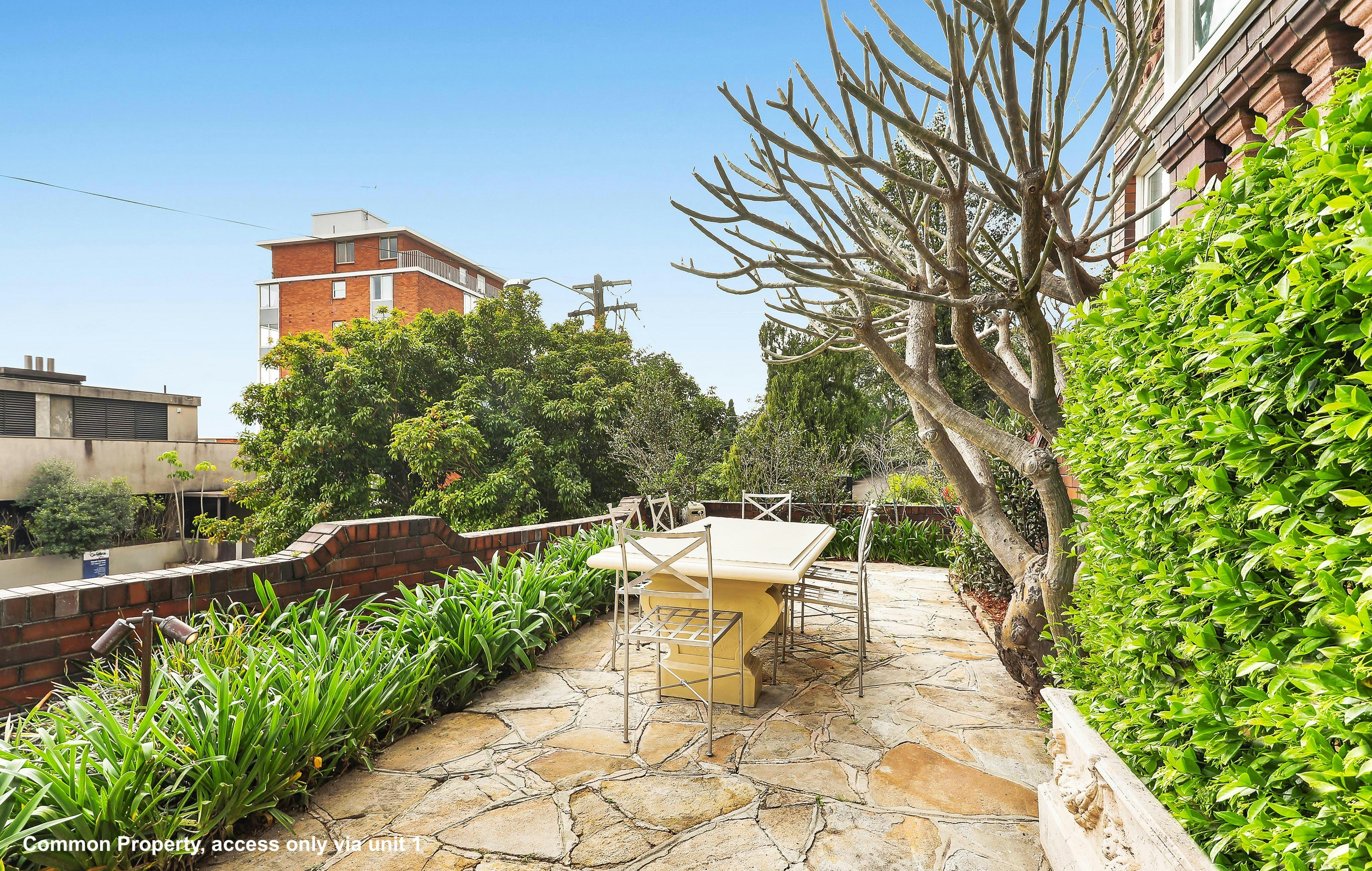 1/450 Edgecliff Road, Edgecliff NSW