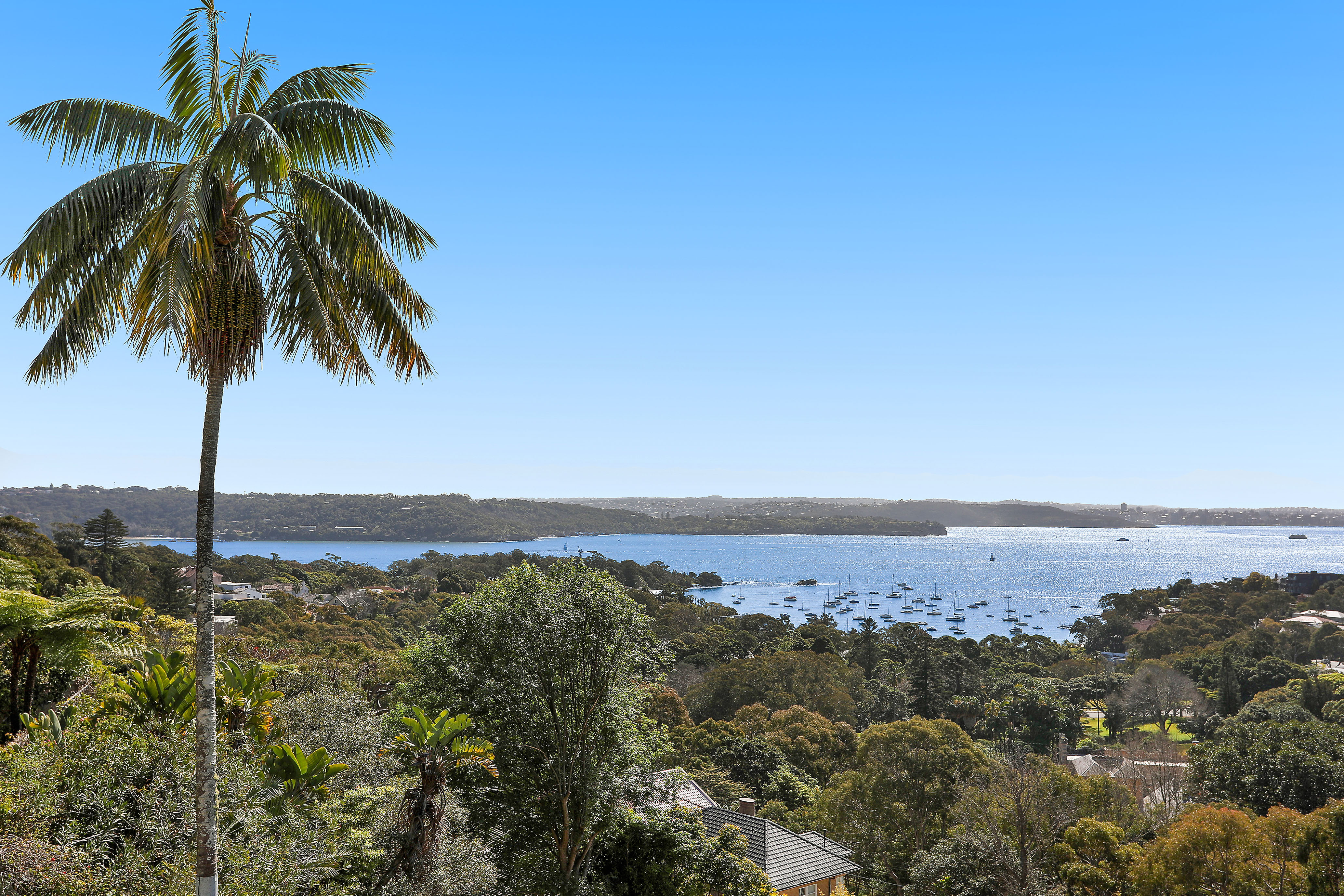 11A Wentworth Road, Vaucluse - Thumbnail 8