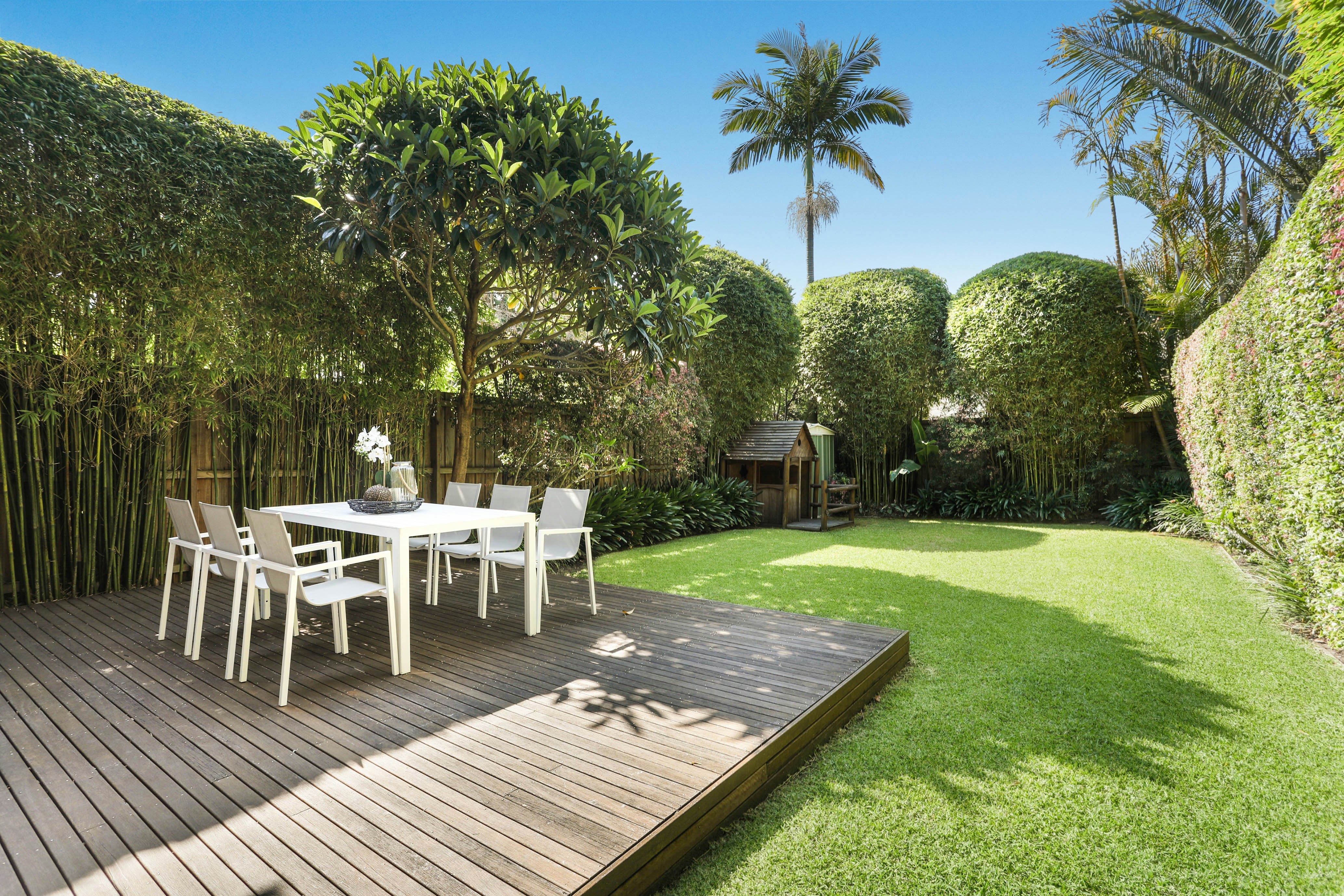 Image of backyard