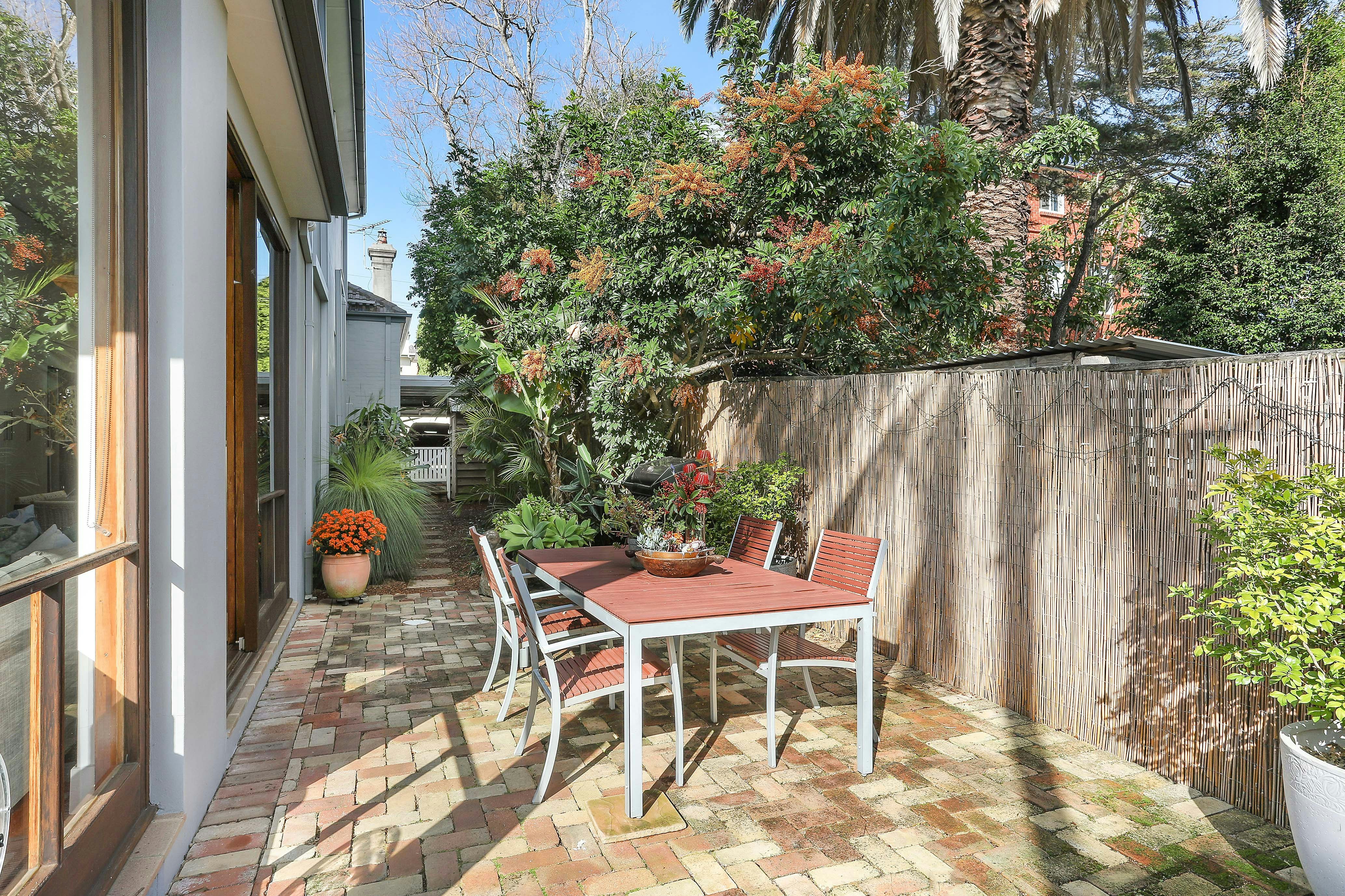 Image of backyard
