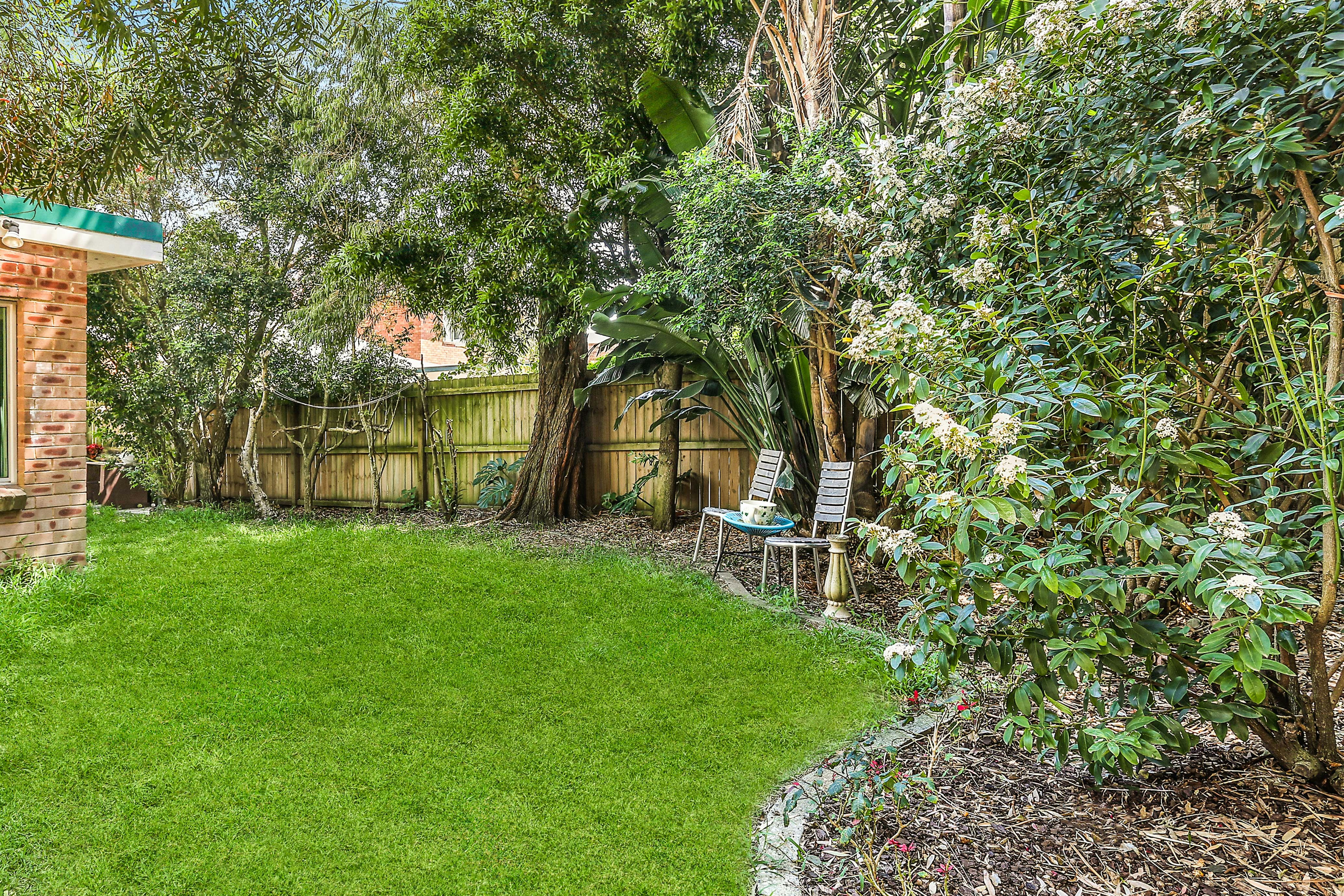 Image of backyard