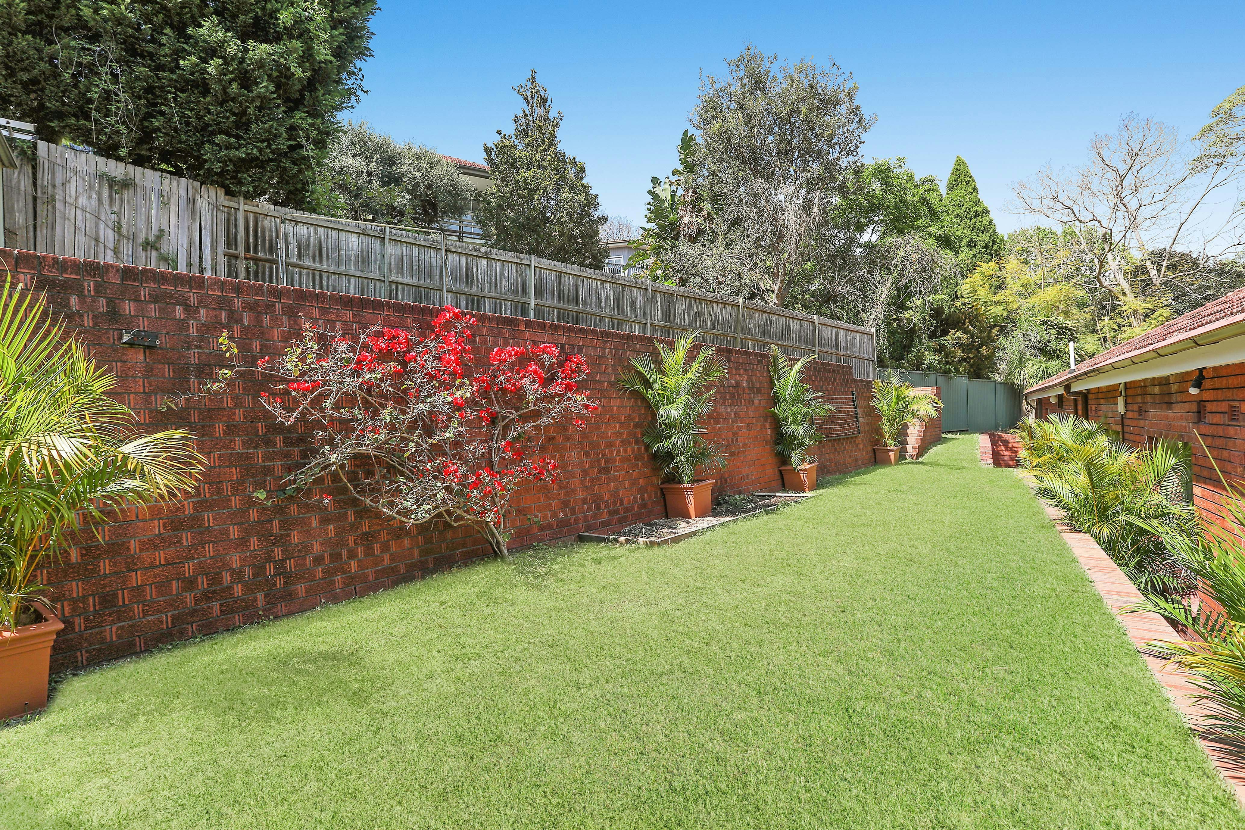 Image of backyard