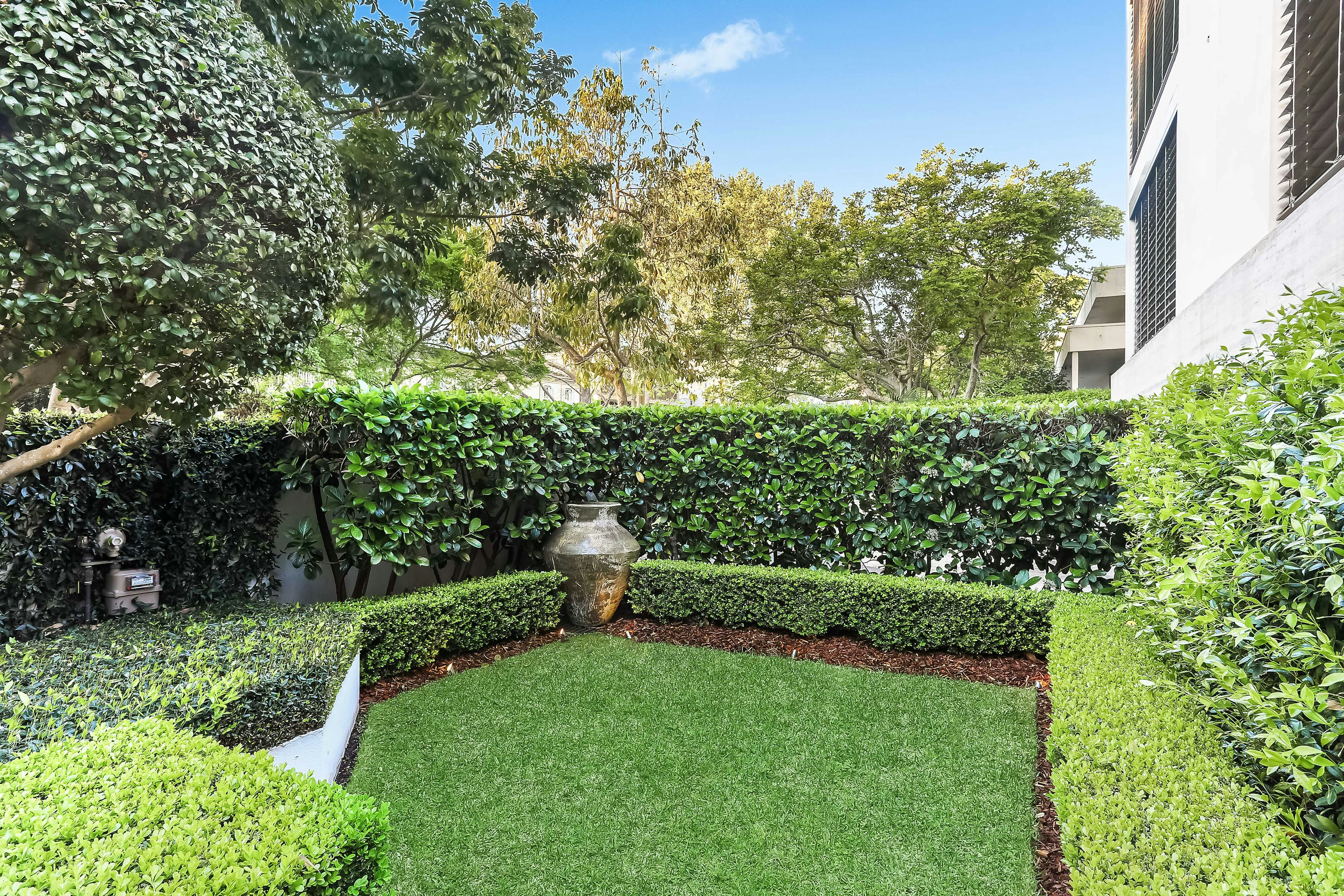 Image of backyard