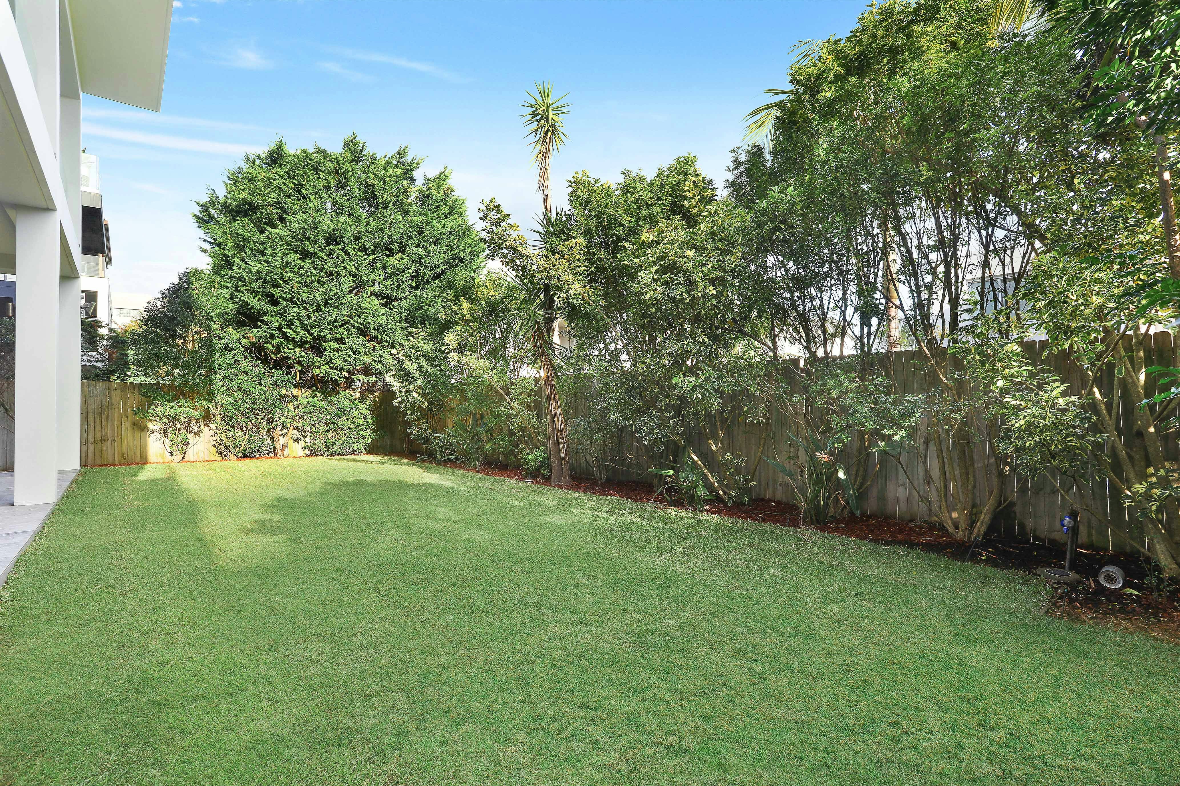 Image of backyard