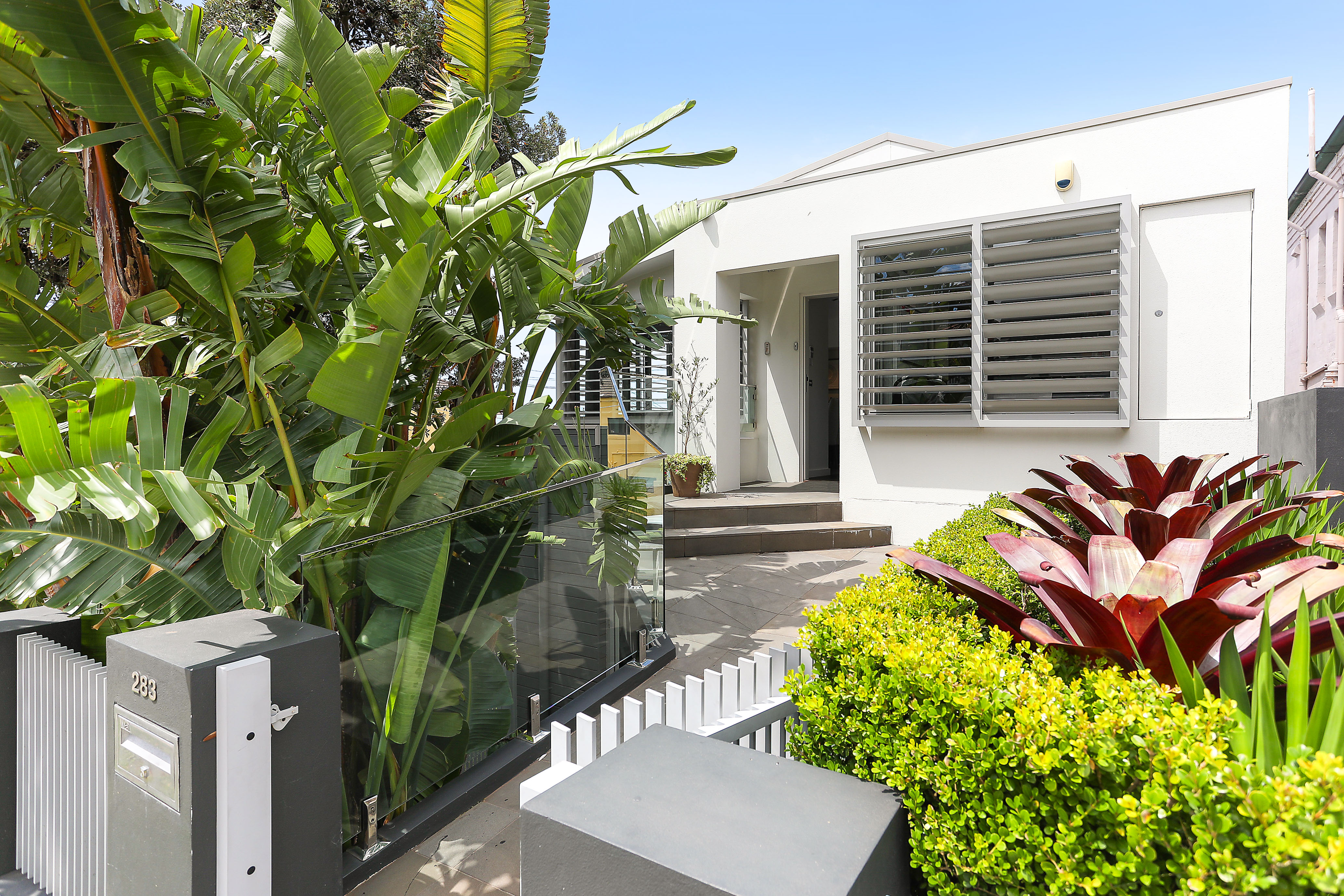 283 Military Road, Dover Heights - Thumbnail 5
