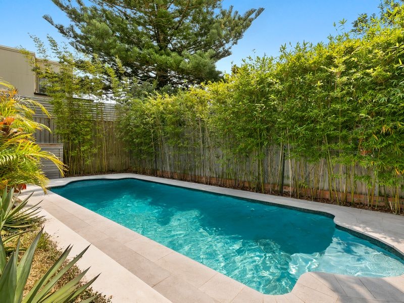 Image of backyard