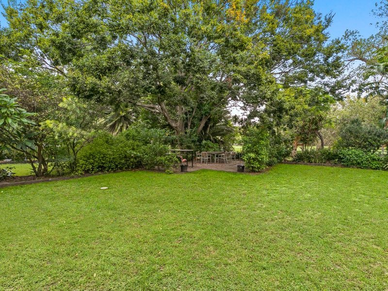 Image of grass