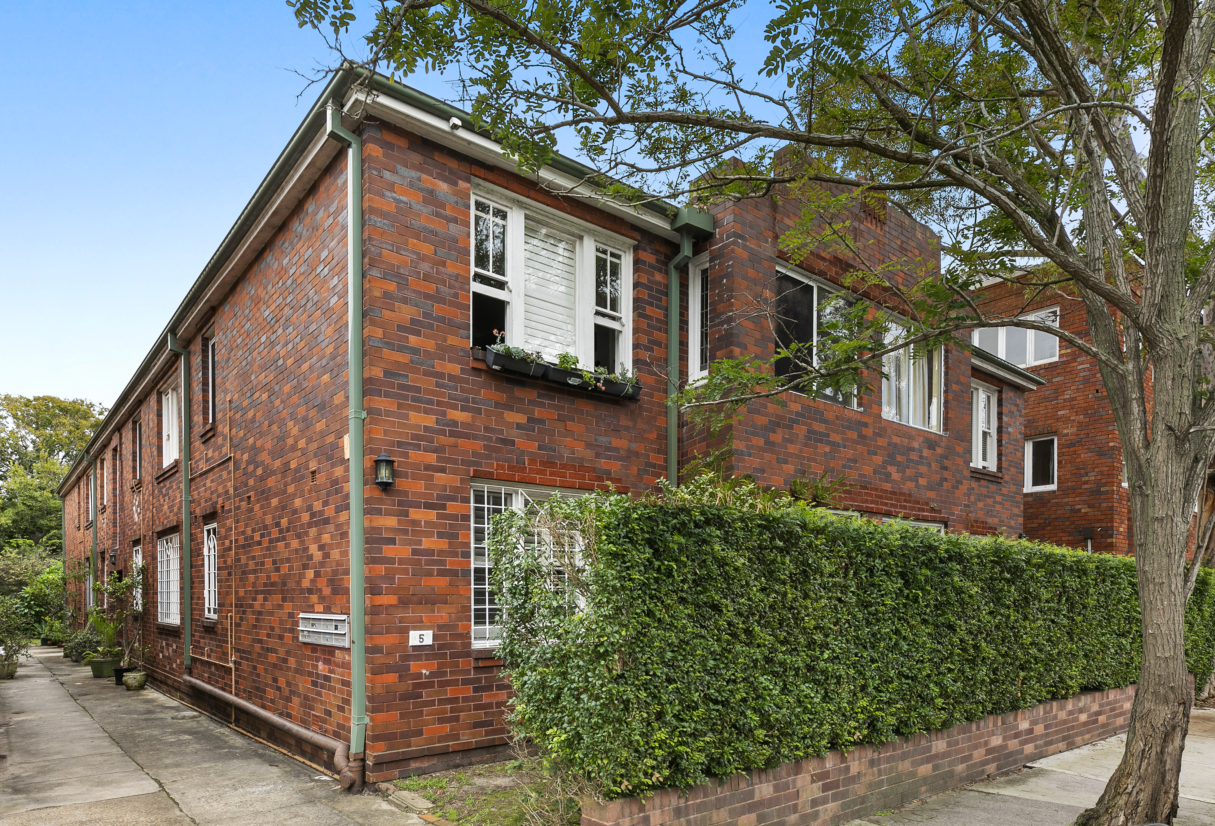 2/5 Manion Avenue, Rose Bay - Thumbnail 8