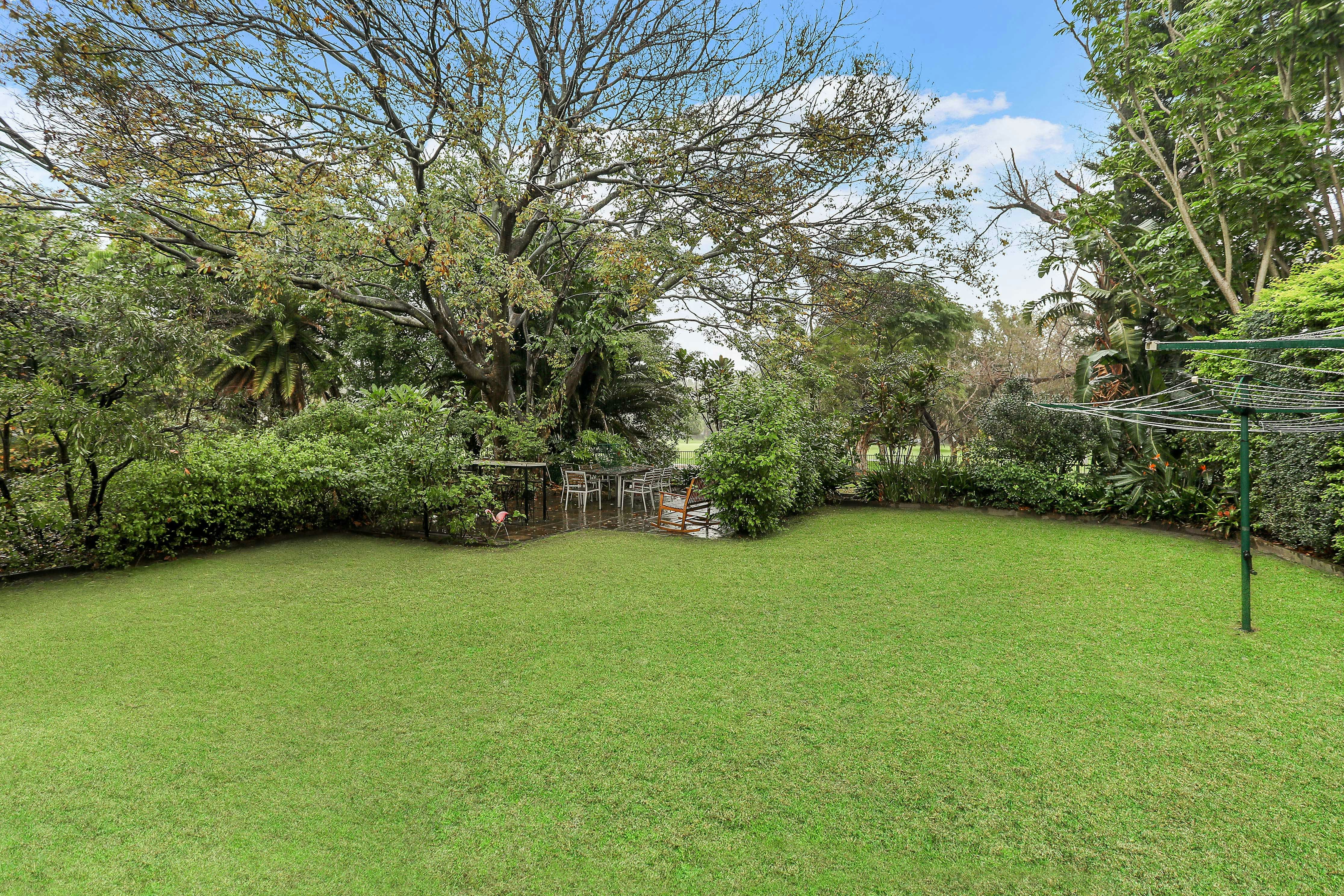 Image of grass