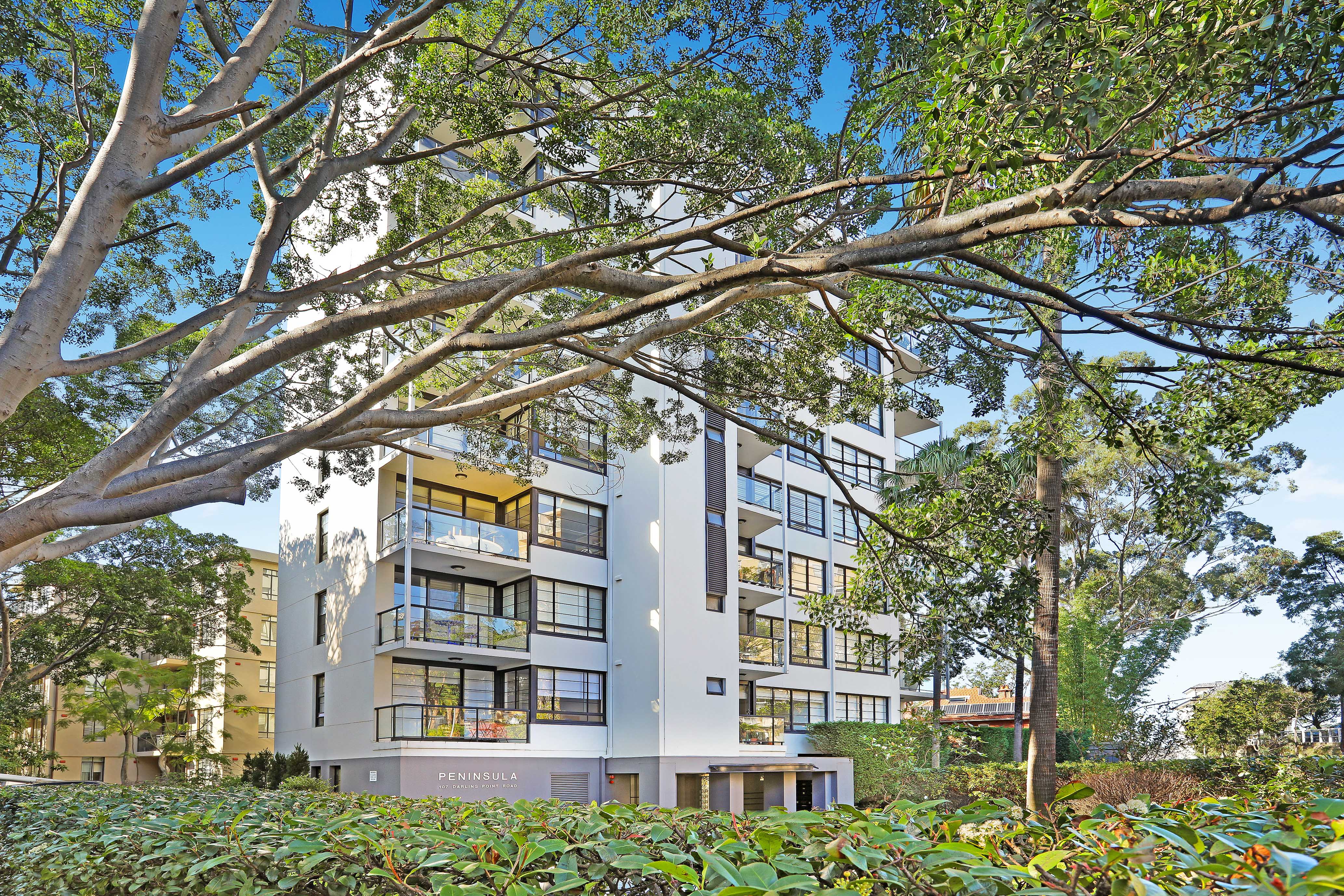 5/107 Darling Point Road, Darling Point - Thumbnail 6