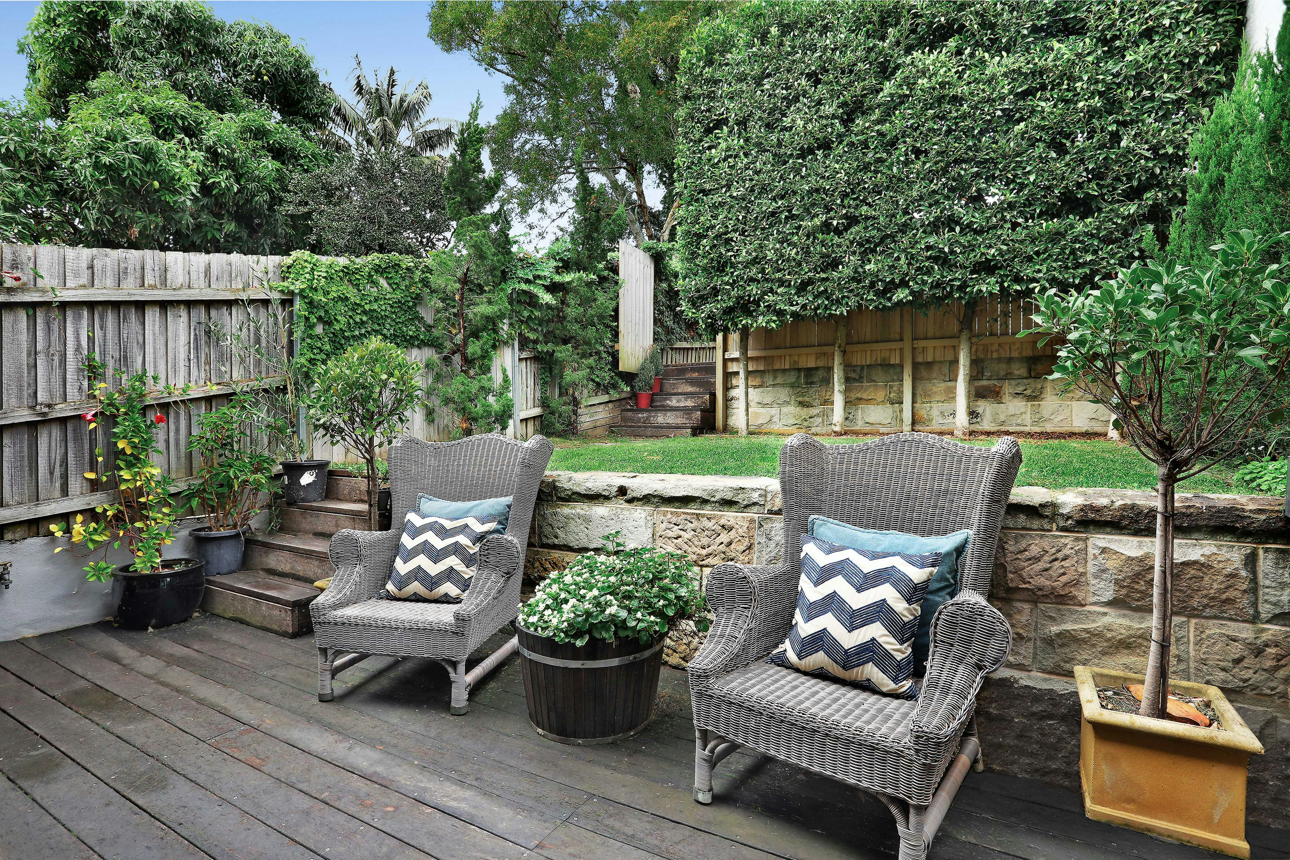 Image of backyard