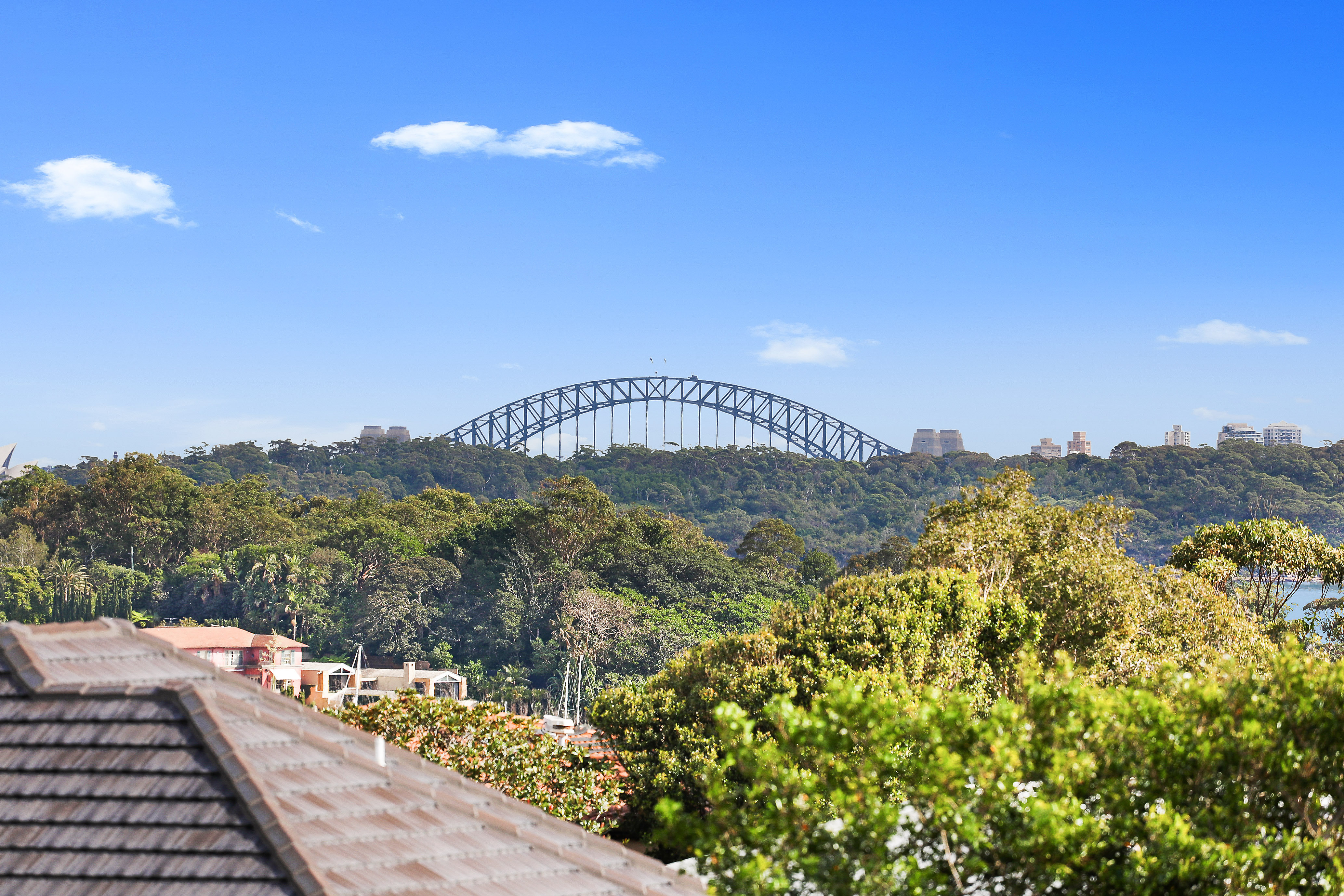 173 Hopetoun Avenue, Vaucluse - Thumbnail 5